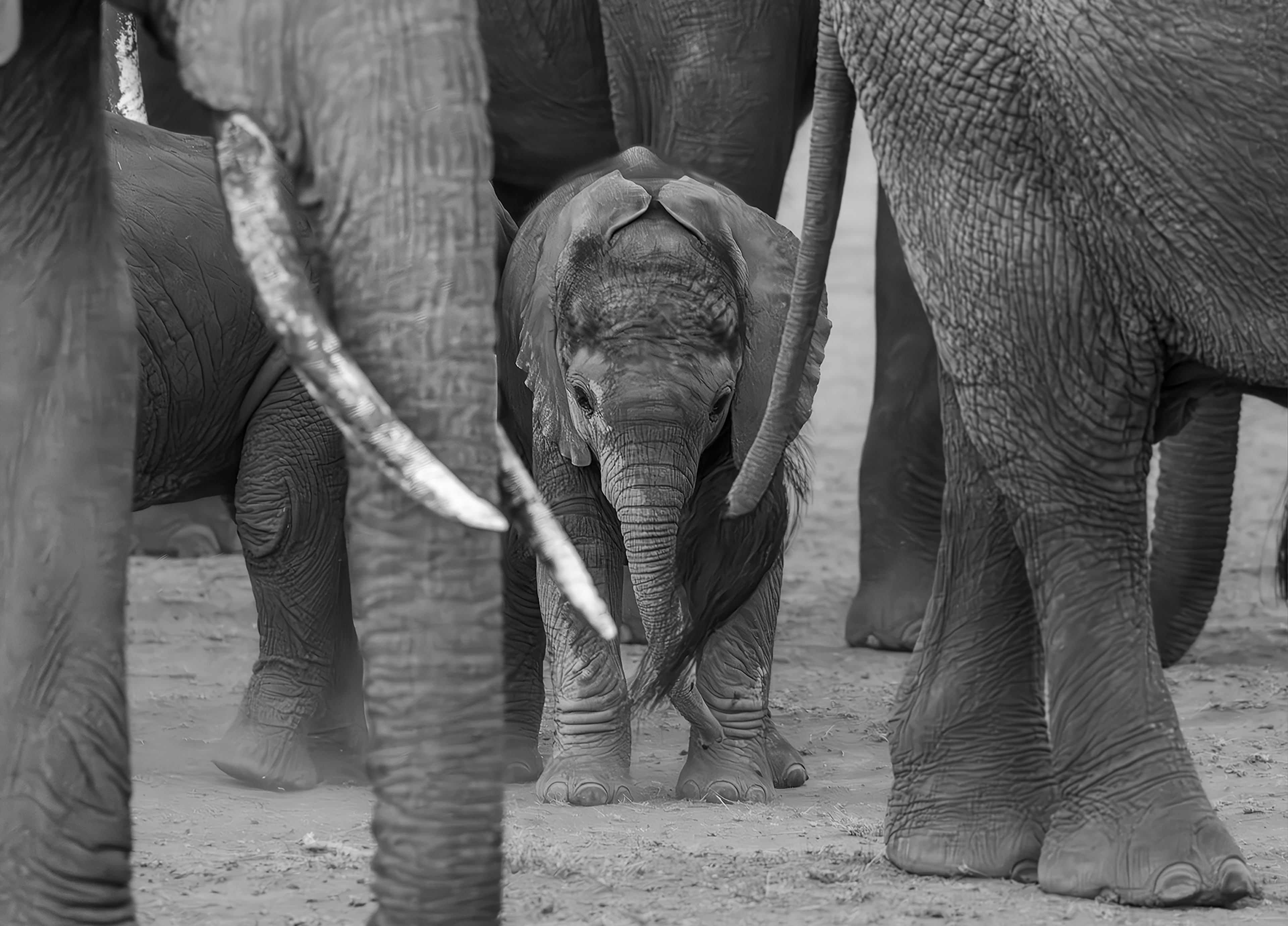 Safety  - ©MomentsbyHeatherNicole