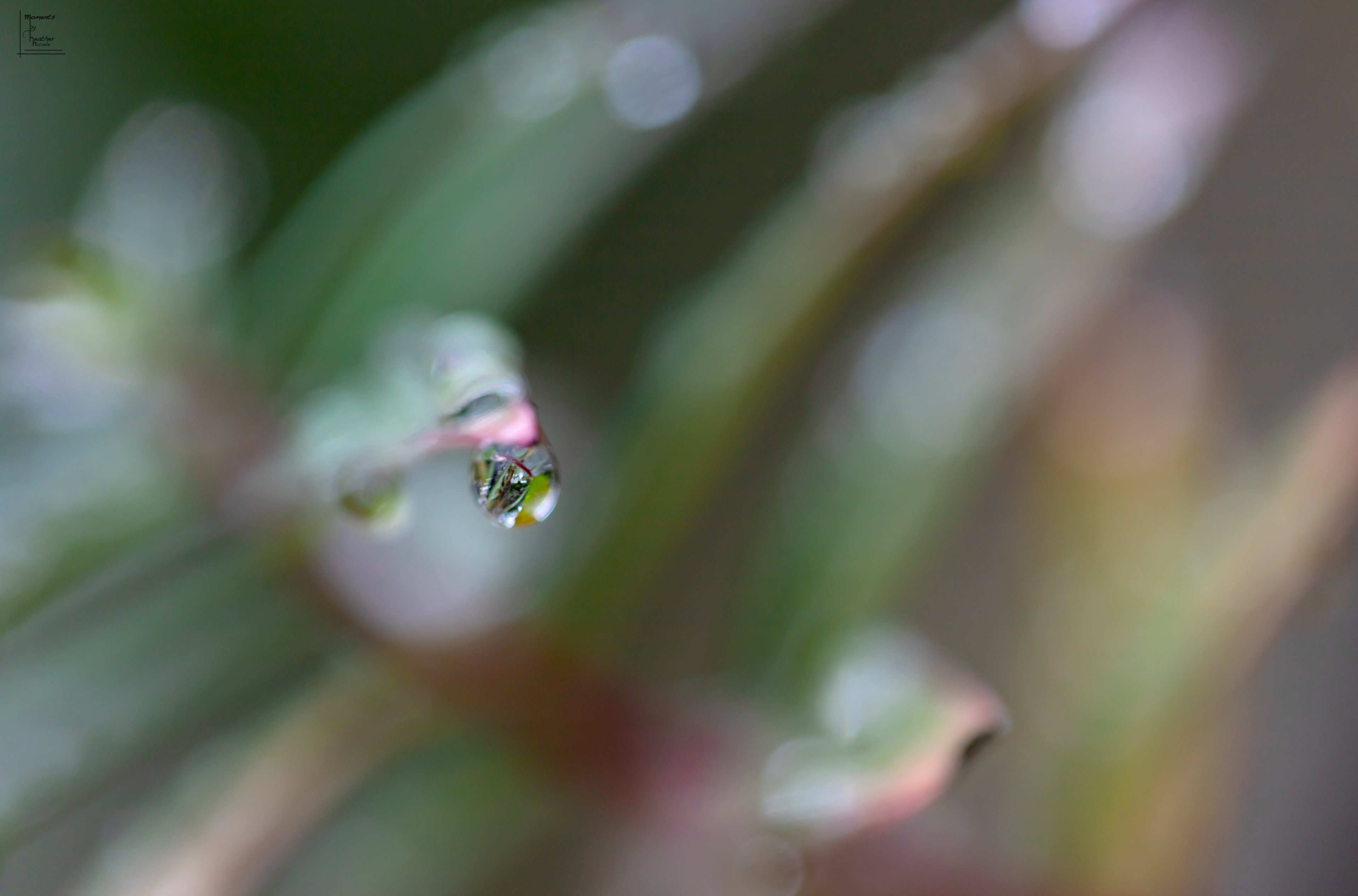 Water Water Everywhere - ©MomentsbyHeatherNicole