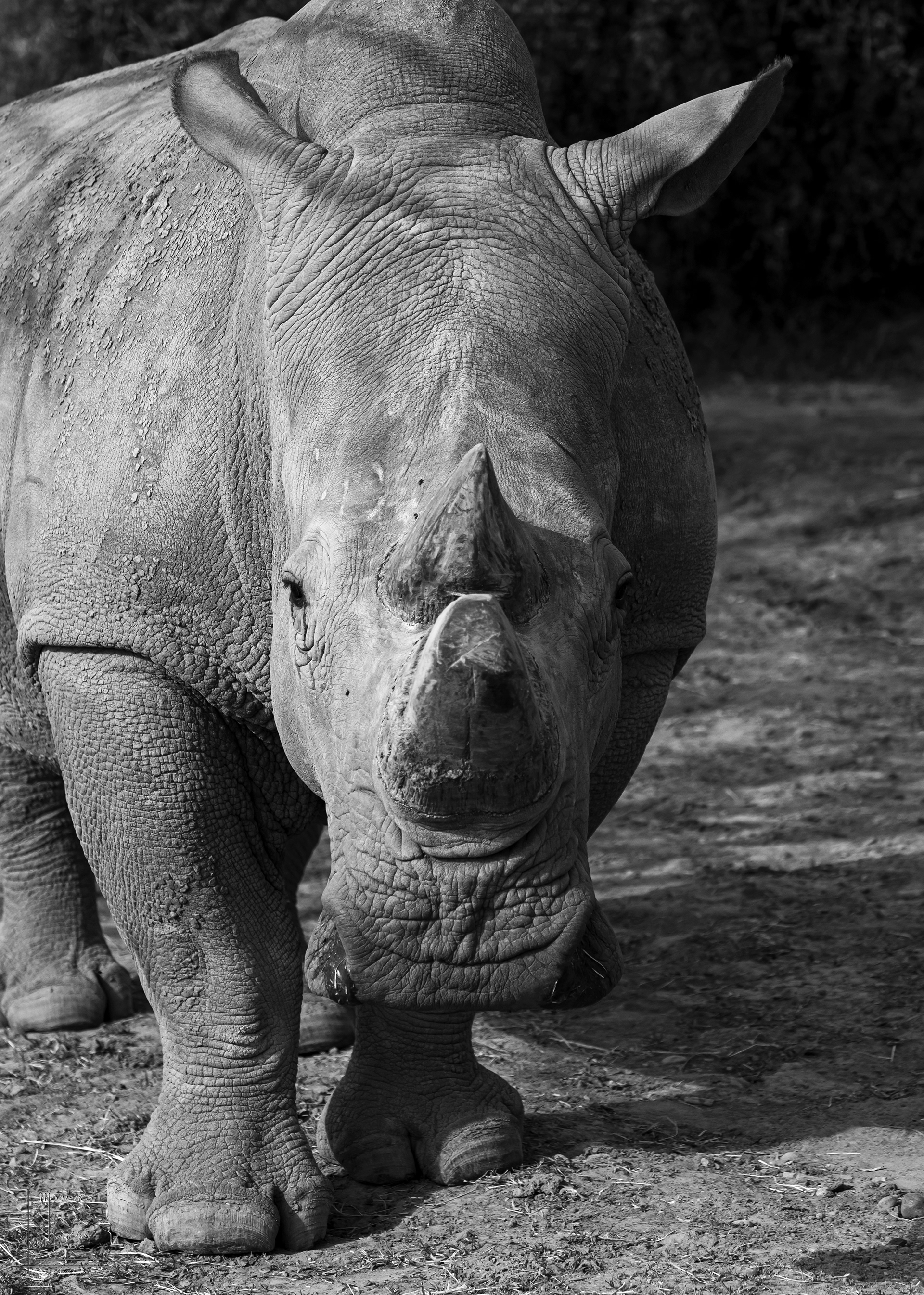 Tauwa - The Guardian - ©MomentsbyHeatherNicole