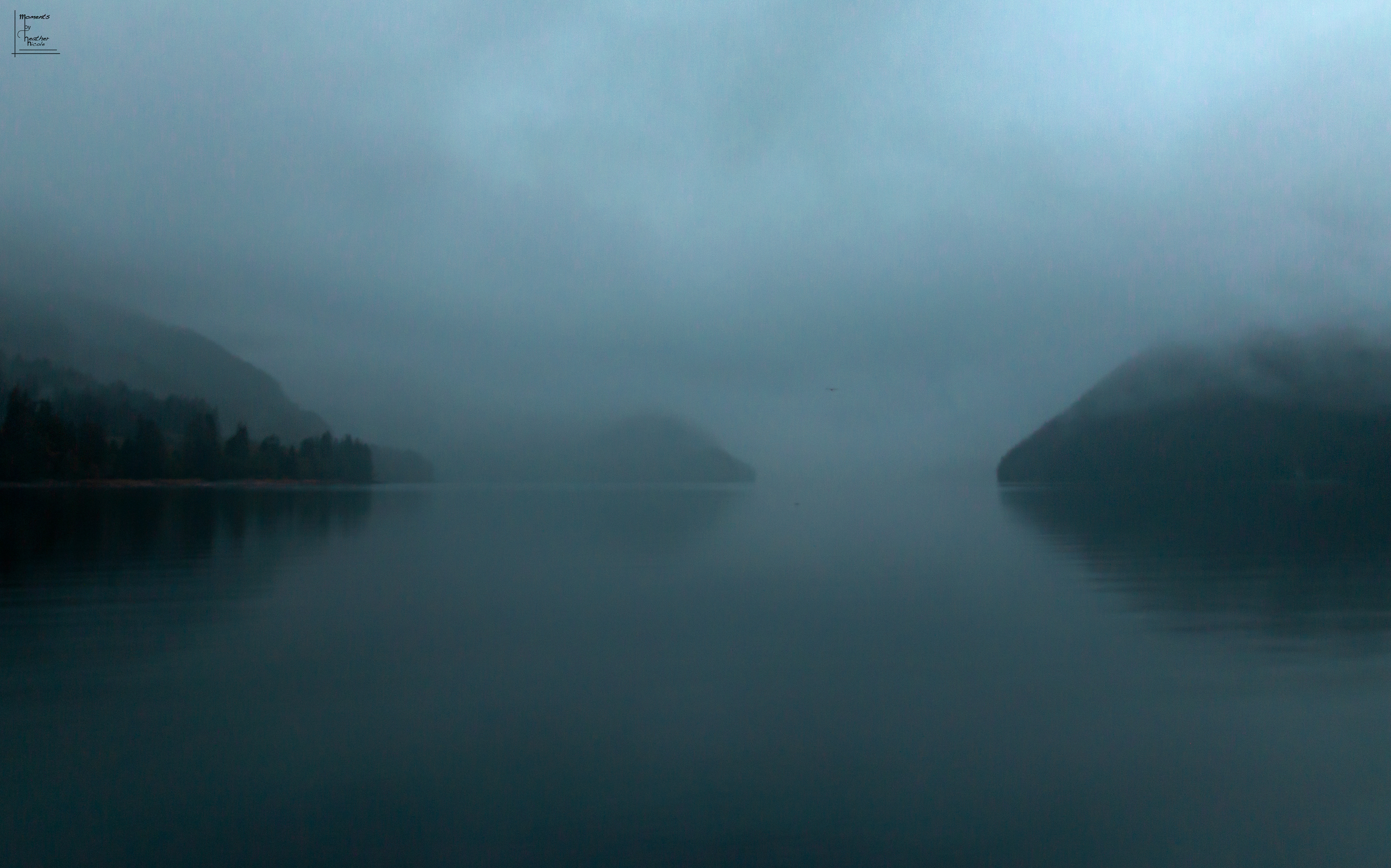 The Mist - ©MomentsbyHeatherNicole