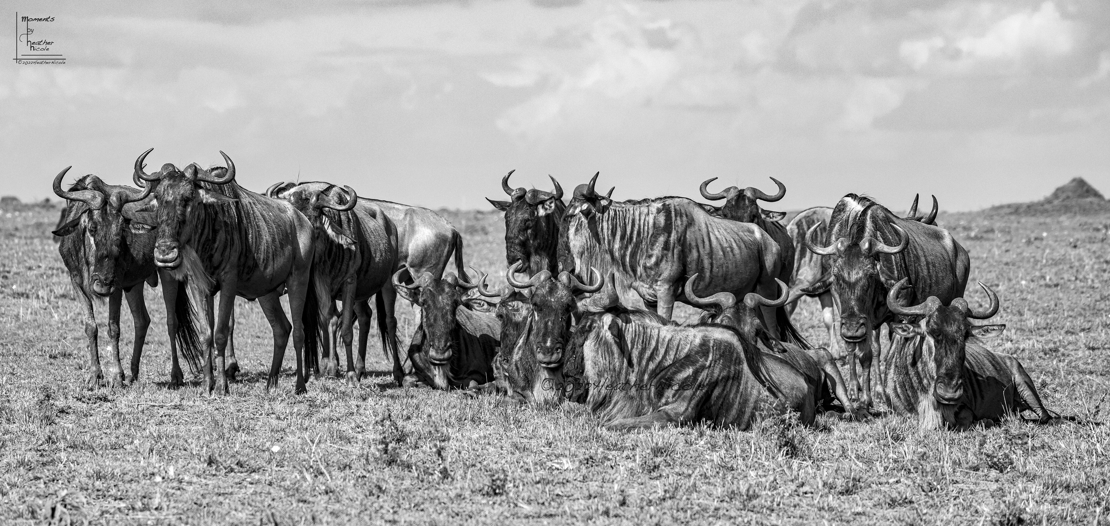 The Class Reunion- ©MomentsbyHeatherNicole