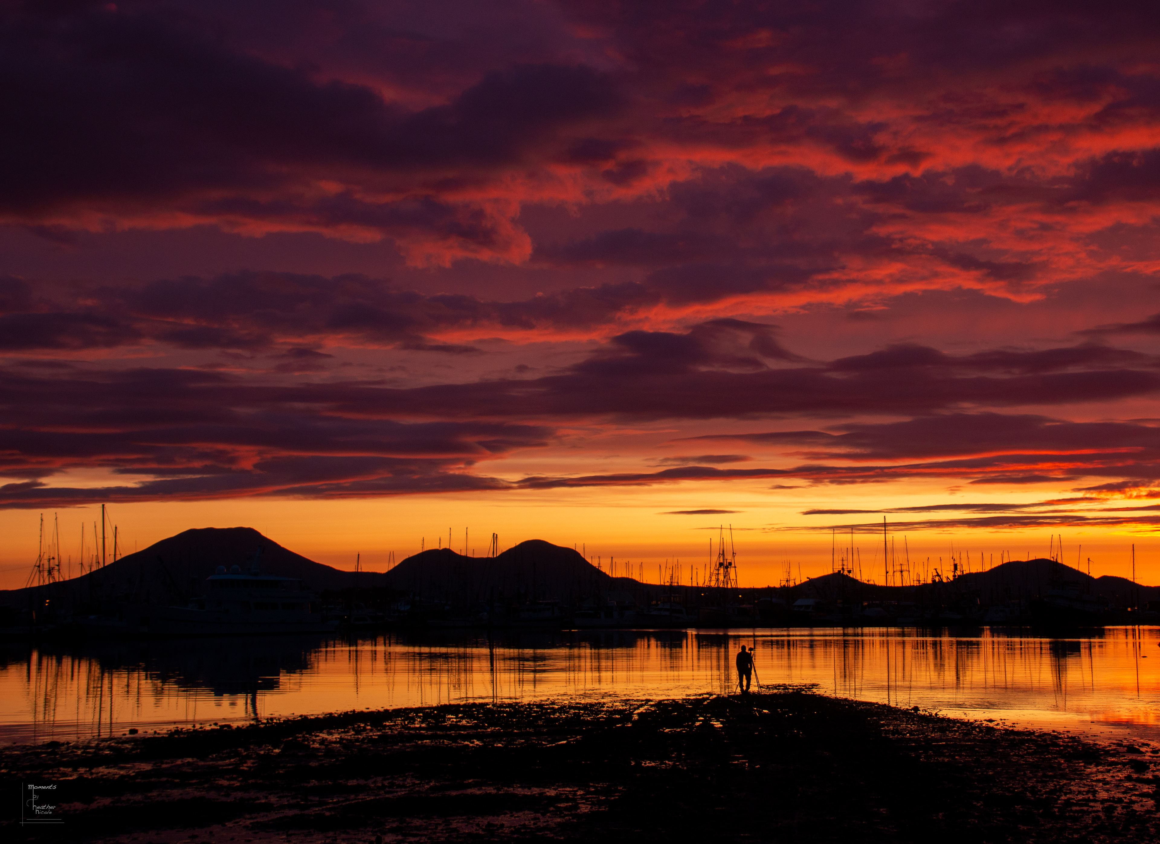 Purple Sky - ©MomentsbyHeatherNicole