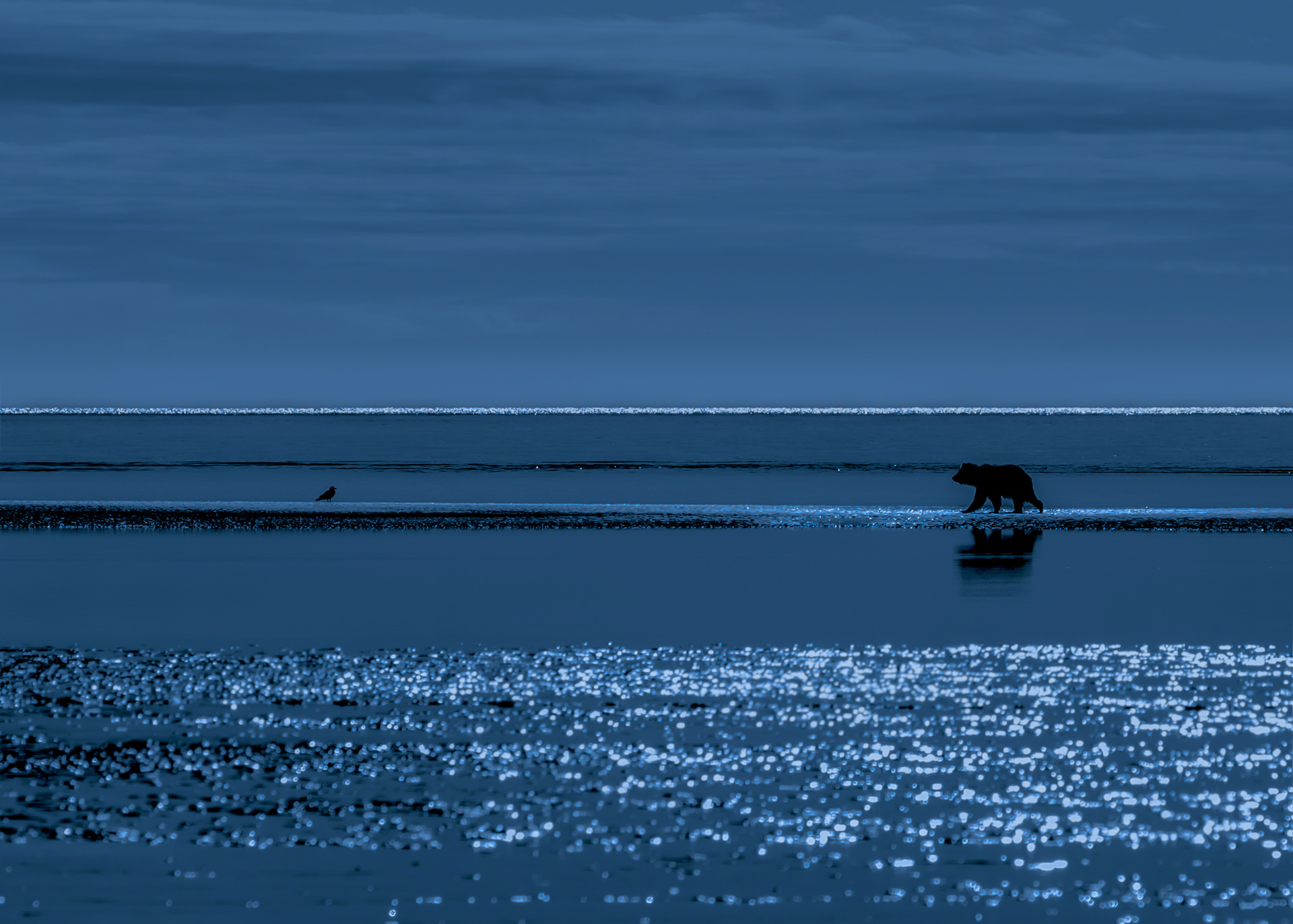 Twighlight  - ©MomentsbyHeatherNicole