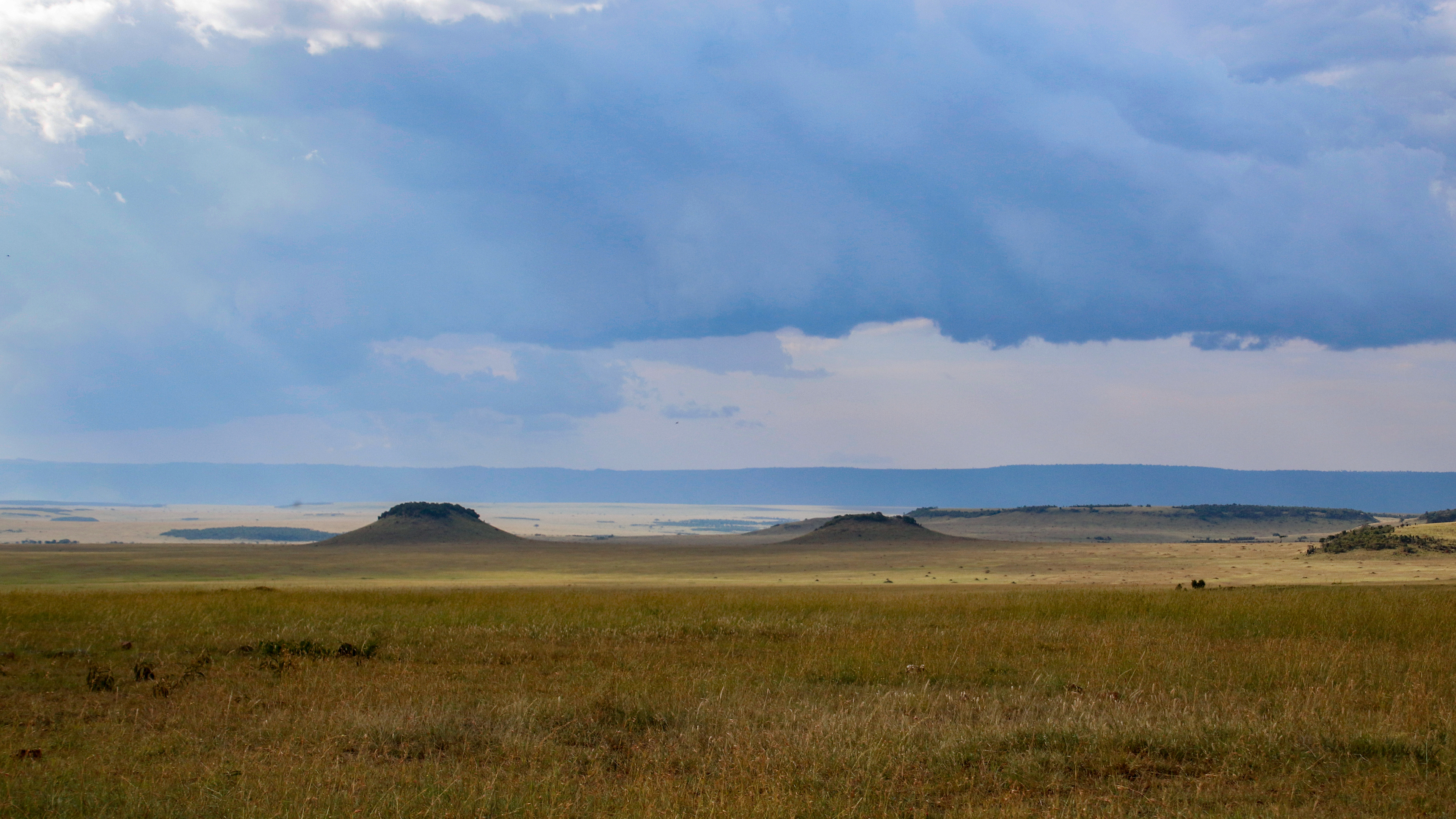 Morning in the Mara ©MomentsbyHeatherNicole