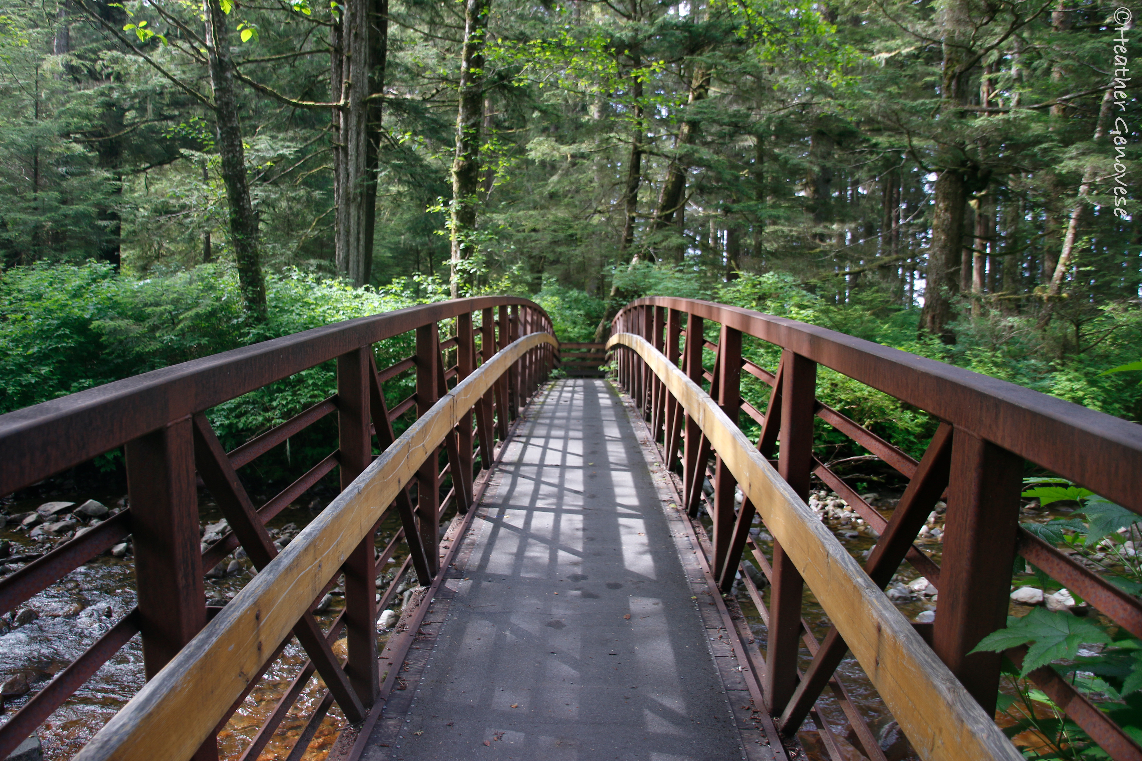 Bridge ©MomentsbyHeatherNicole