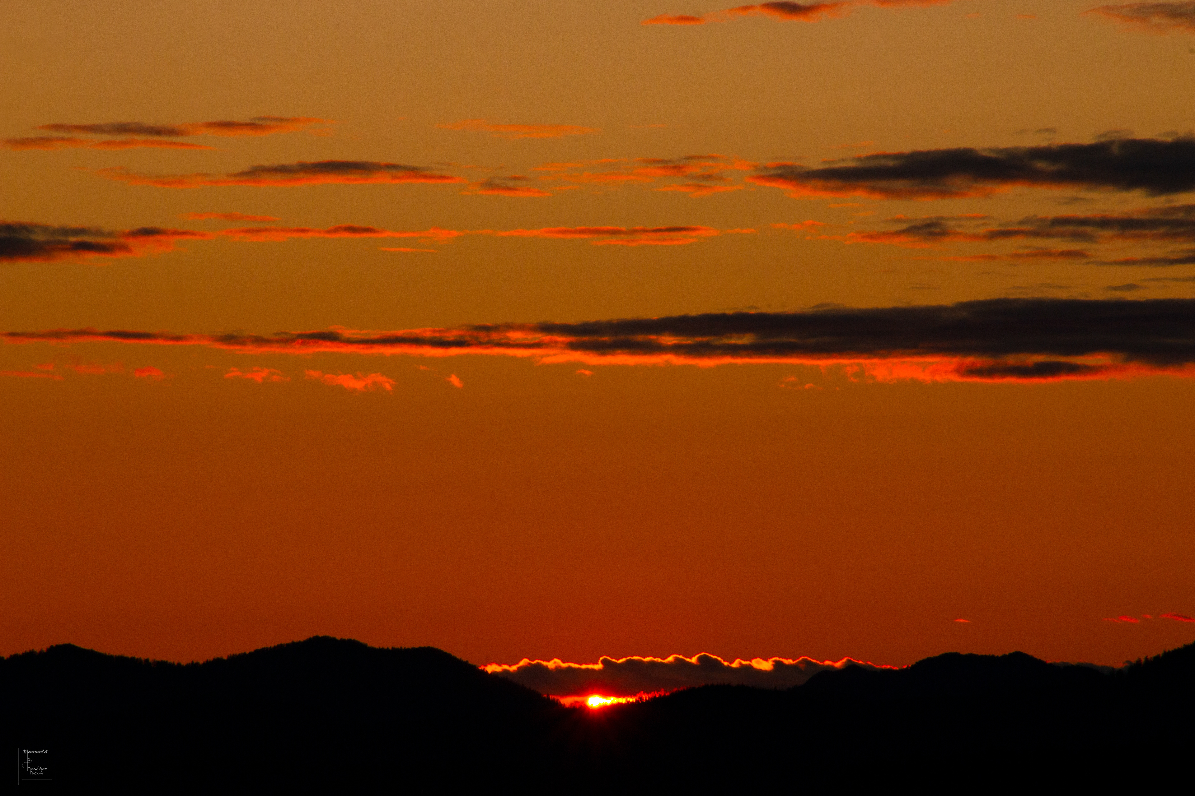 Orange Sunset - ©MomentsbyHeatherNicole