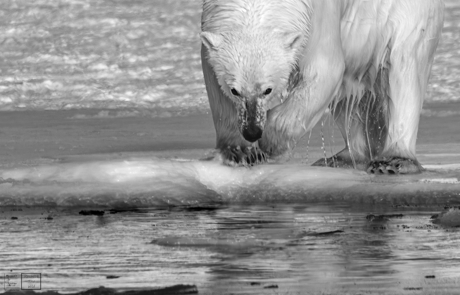 Ice Bath - ©MomentsbyHeatherNicole