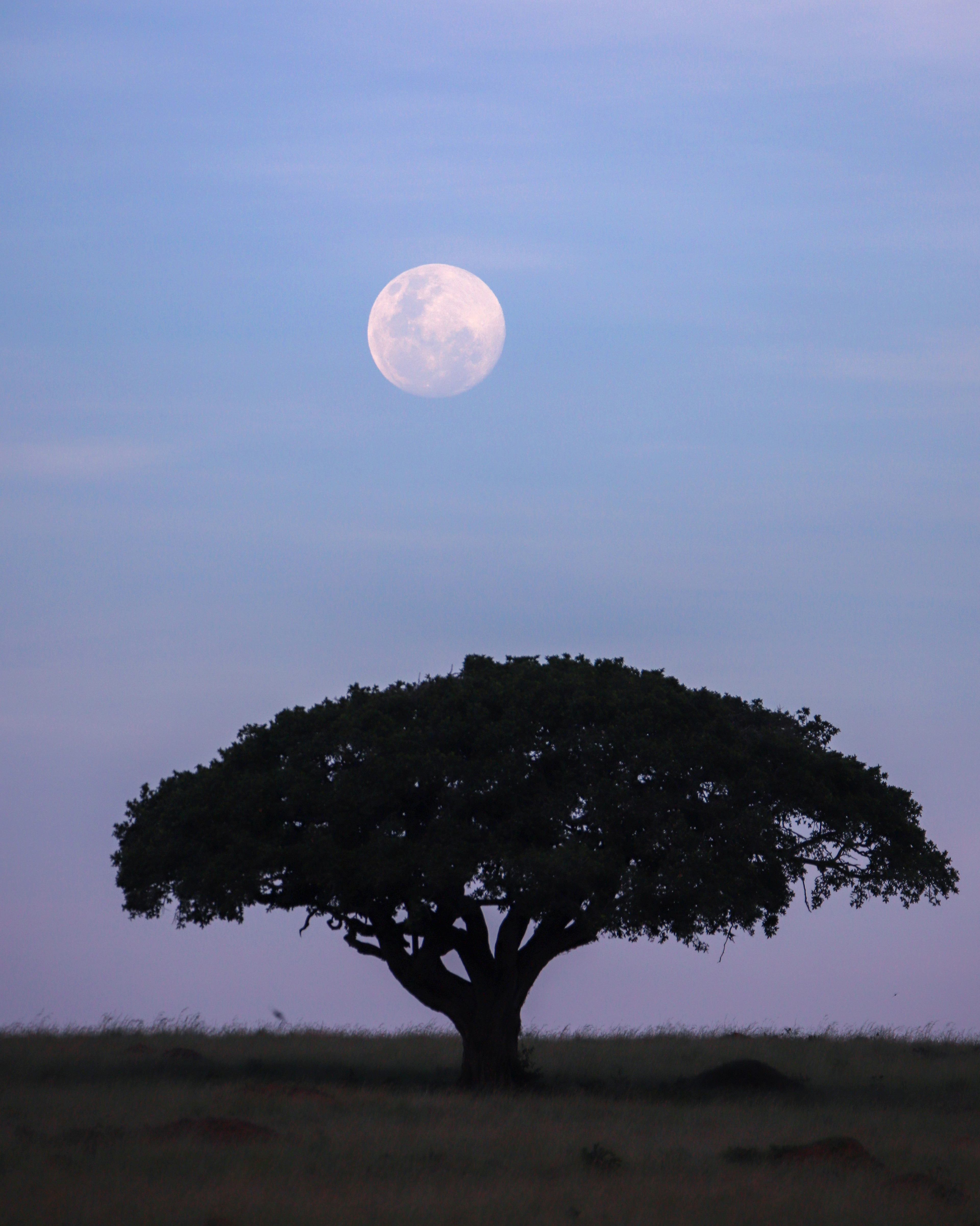 Moonrise ©MomentsbyHeatherNicole