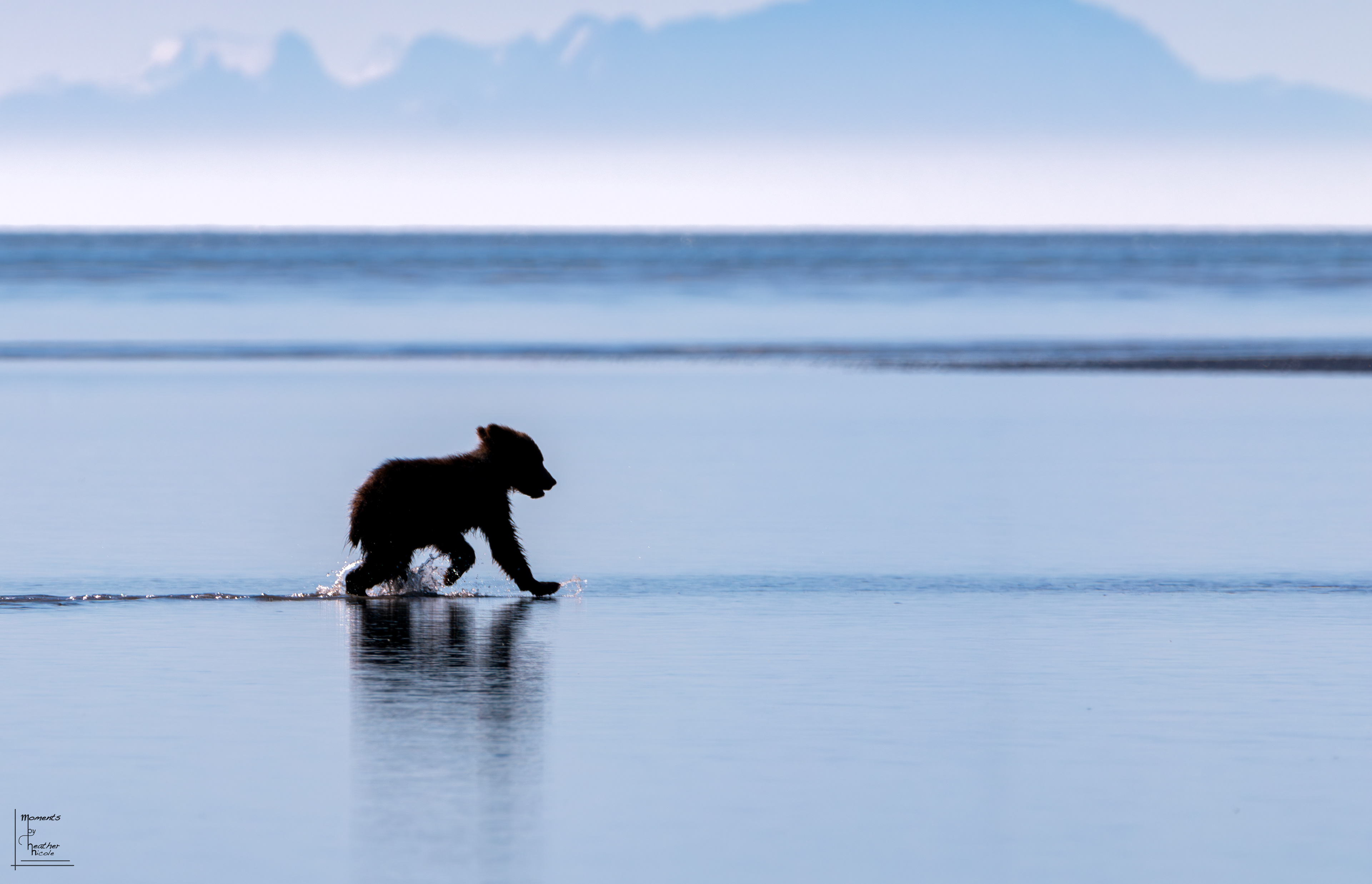 On The Loose - ©MomentsbyHeatherNicole