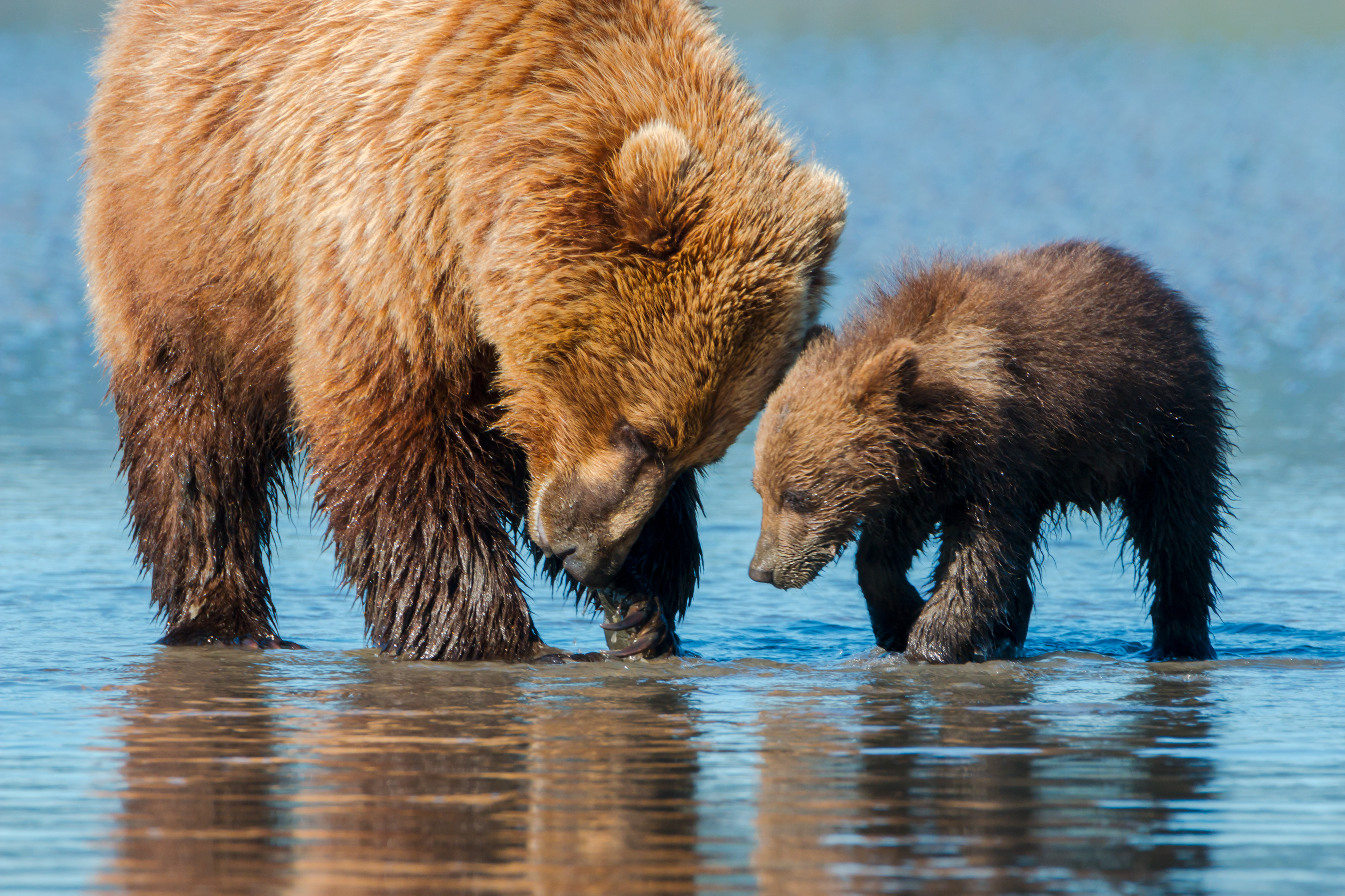 Clamming Lesson  - ©MomentsbyHeatherNicole