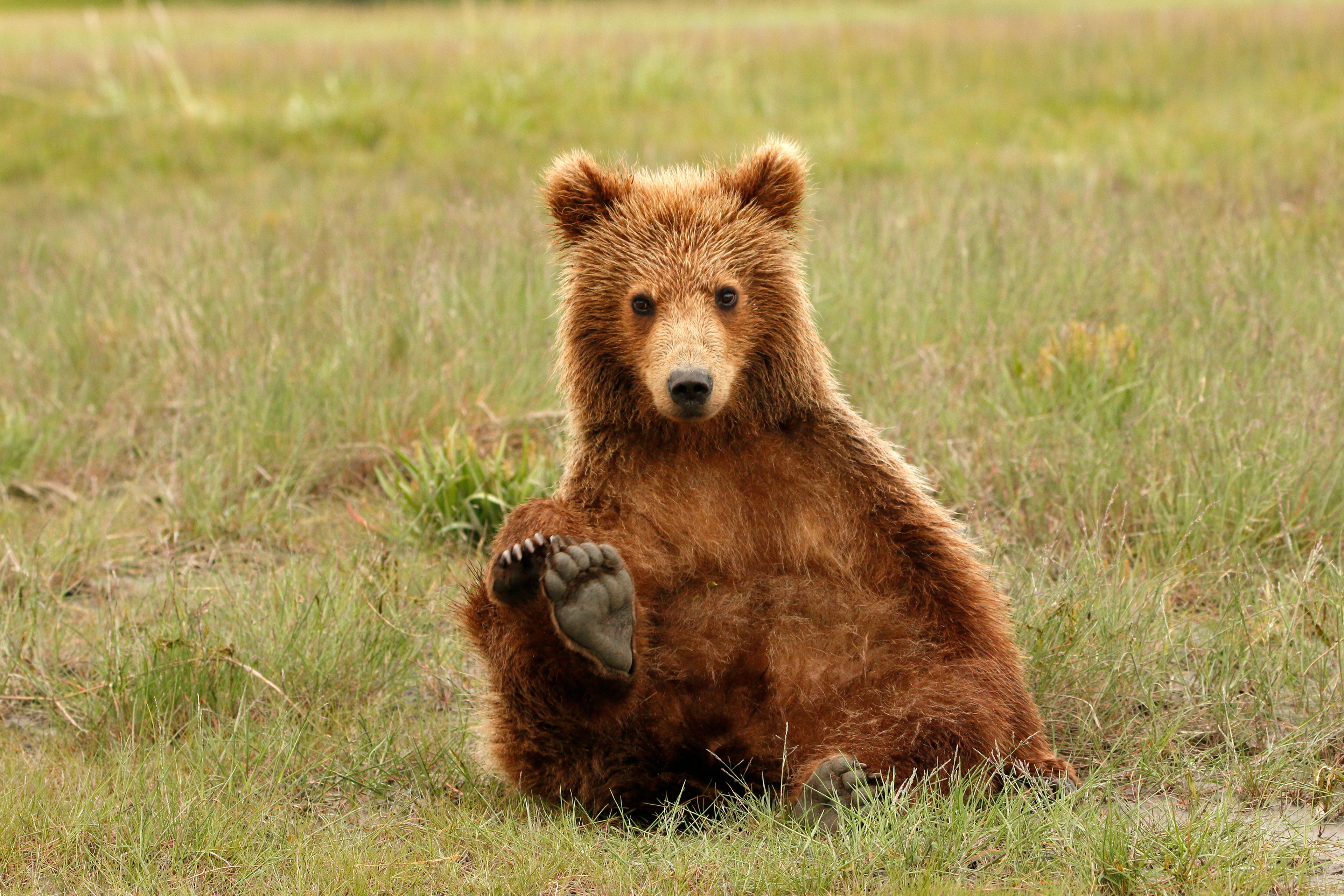 Heeeeyyyy  - ©MomentsbyHeatherNicole