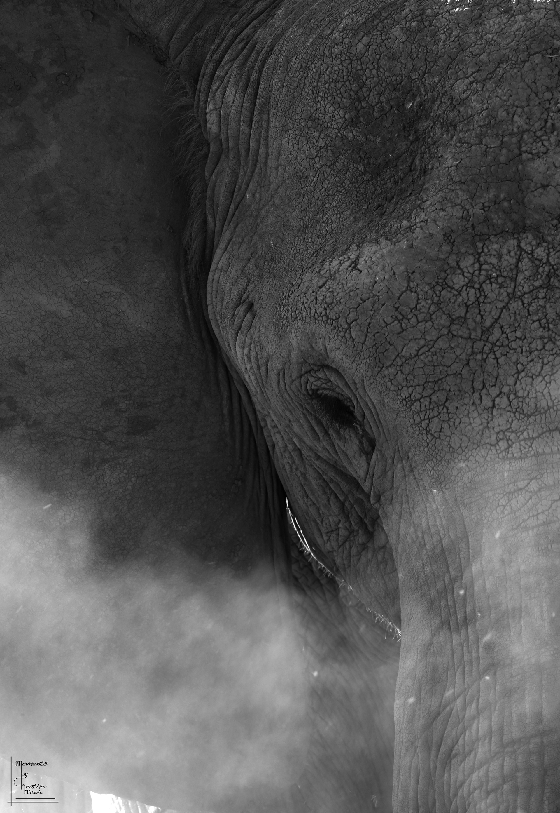Through The Dust