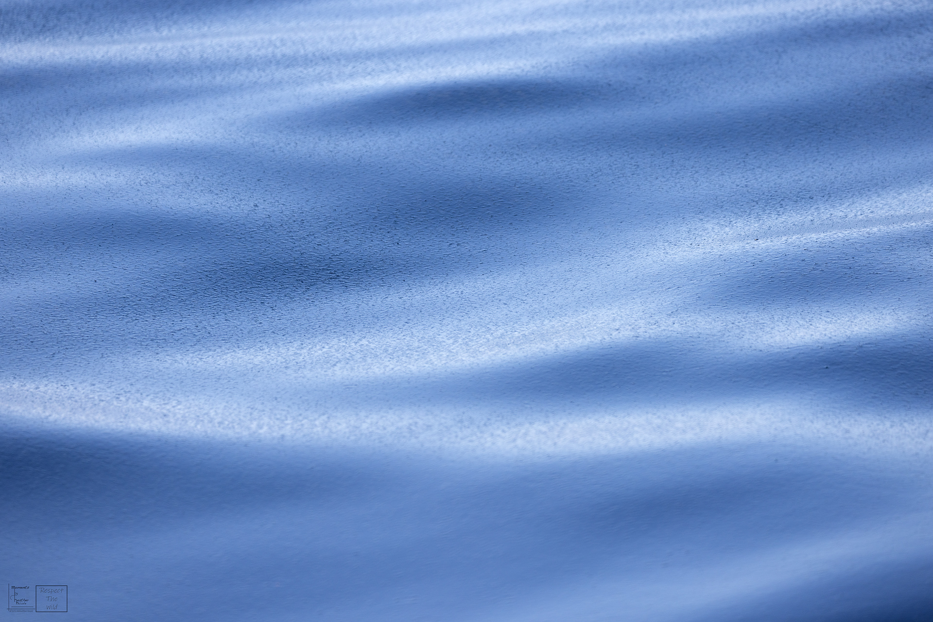 Goosebumps - ©MomentsbyHeatherNicole