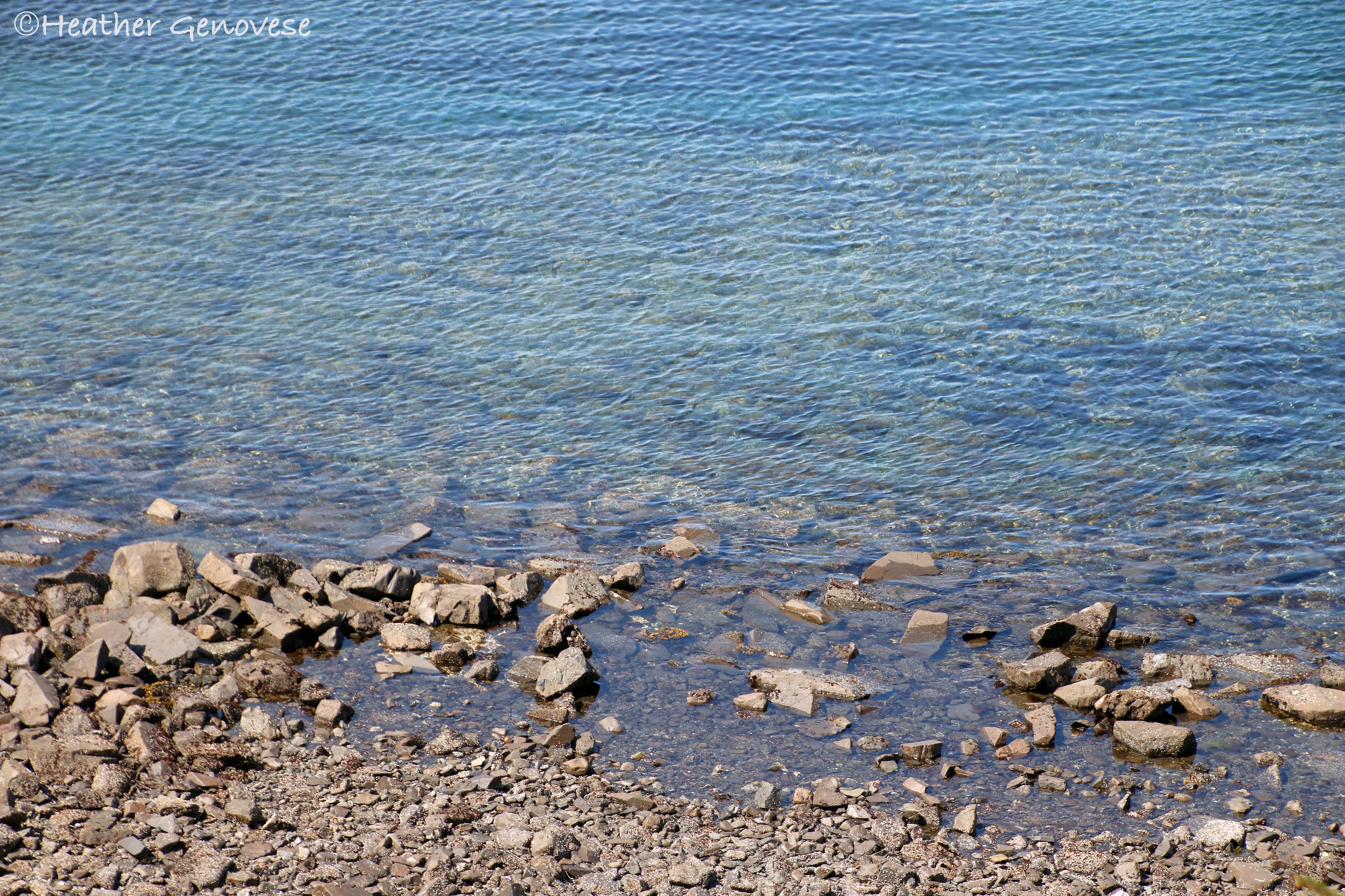 Clear View ©MomentsbyHeatherNicole