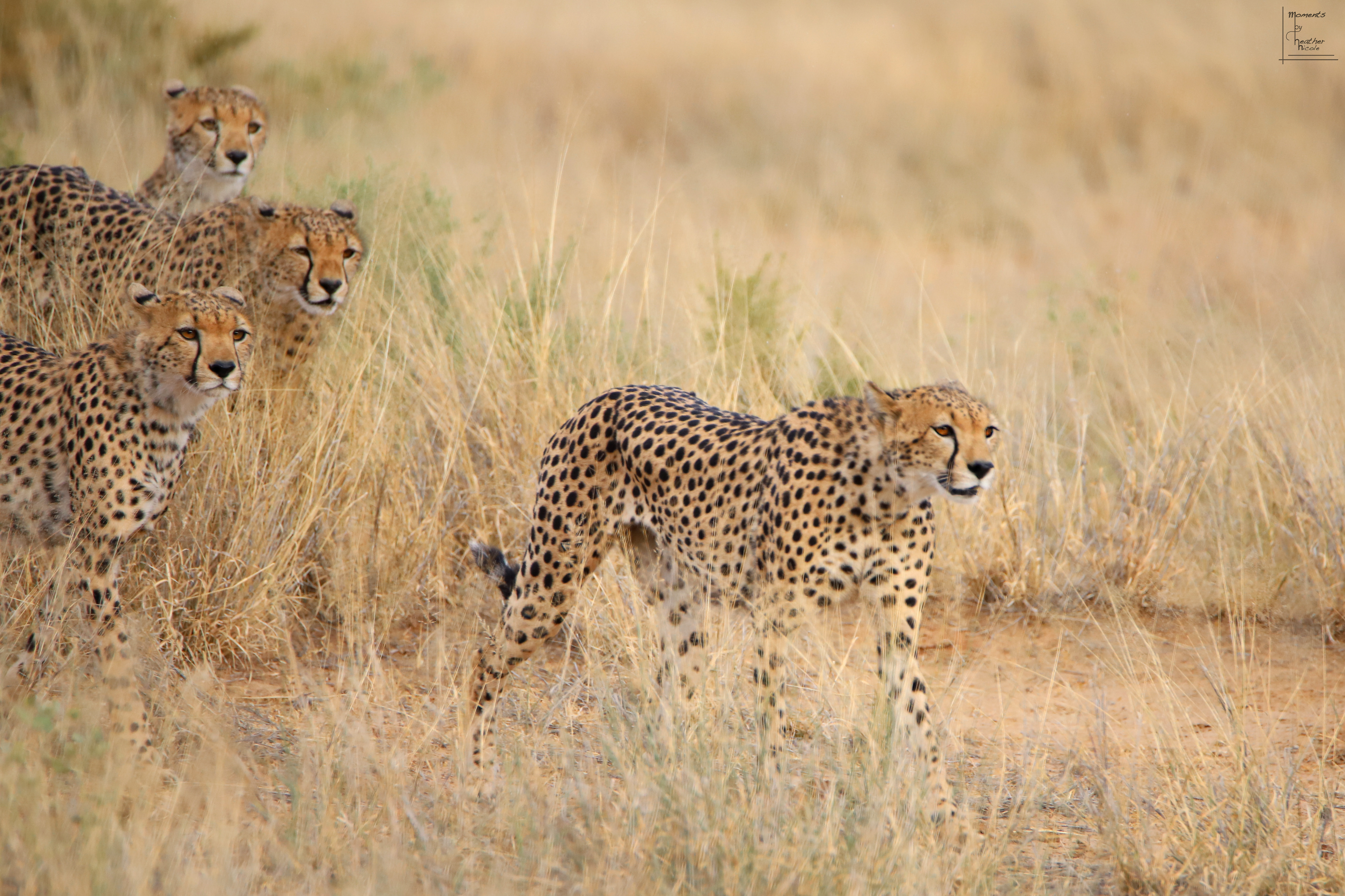 Mom Leads The Way