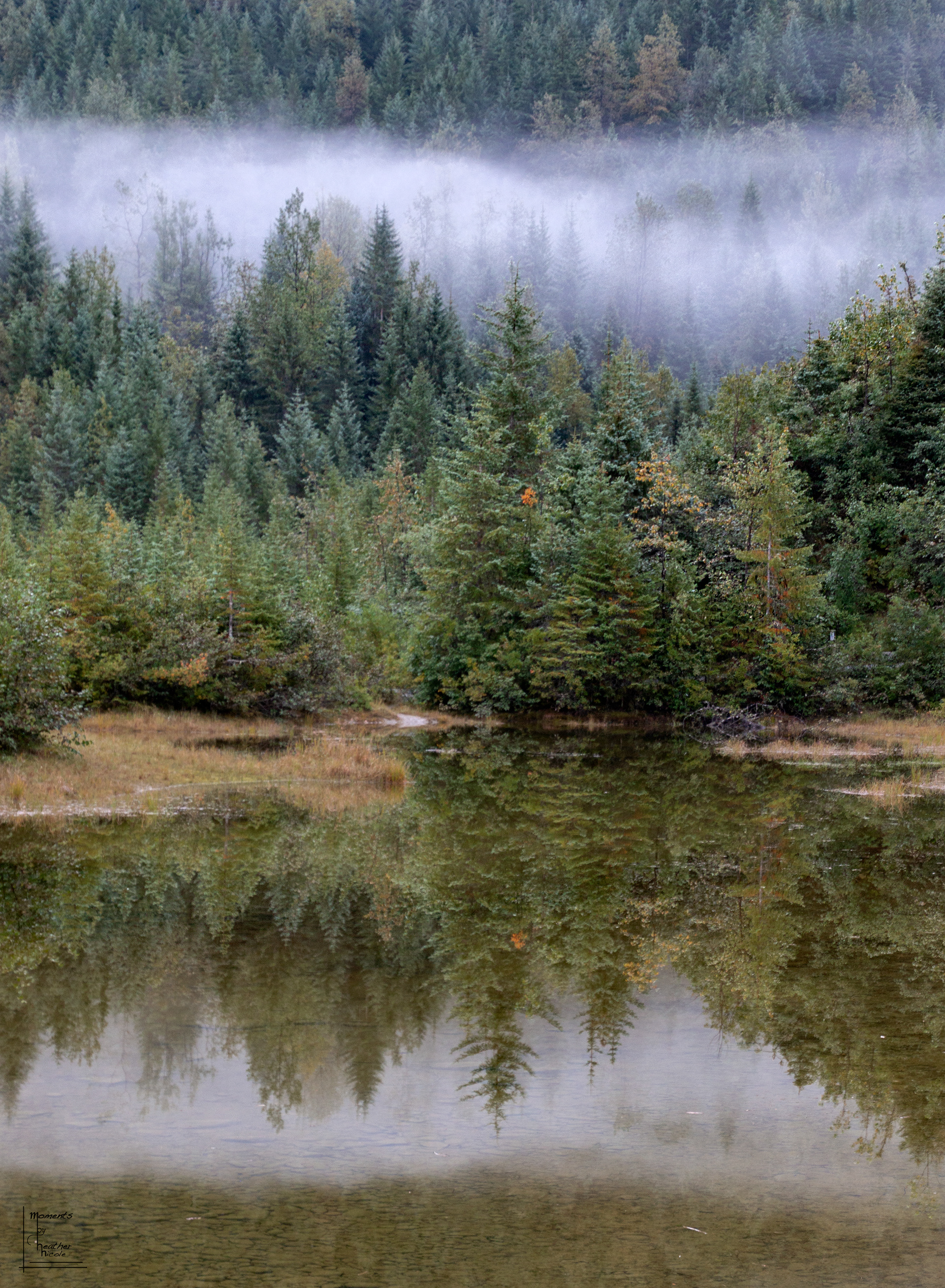 Misty Reflections
