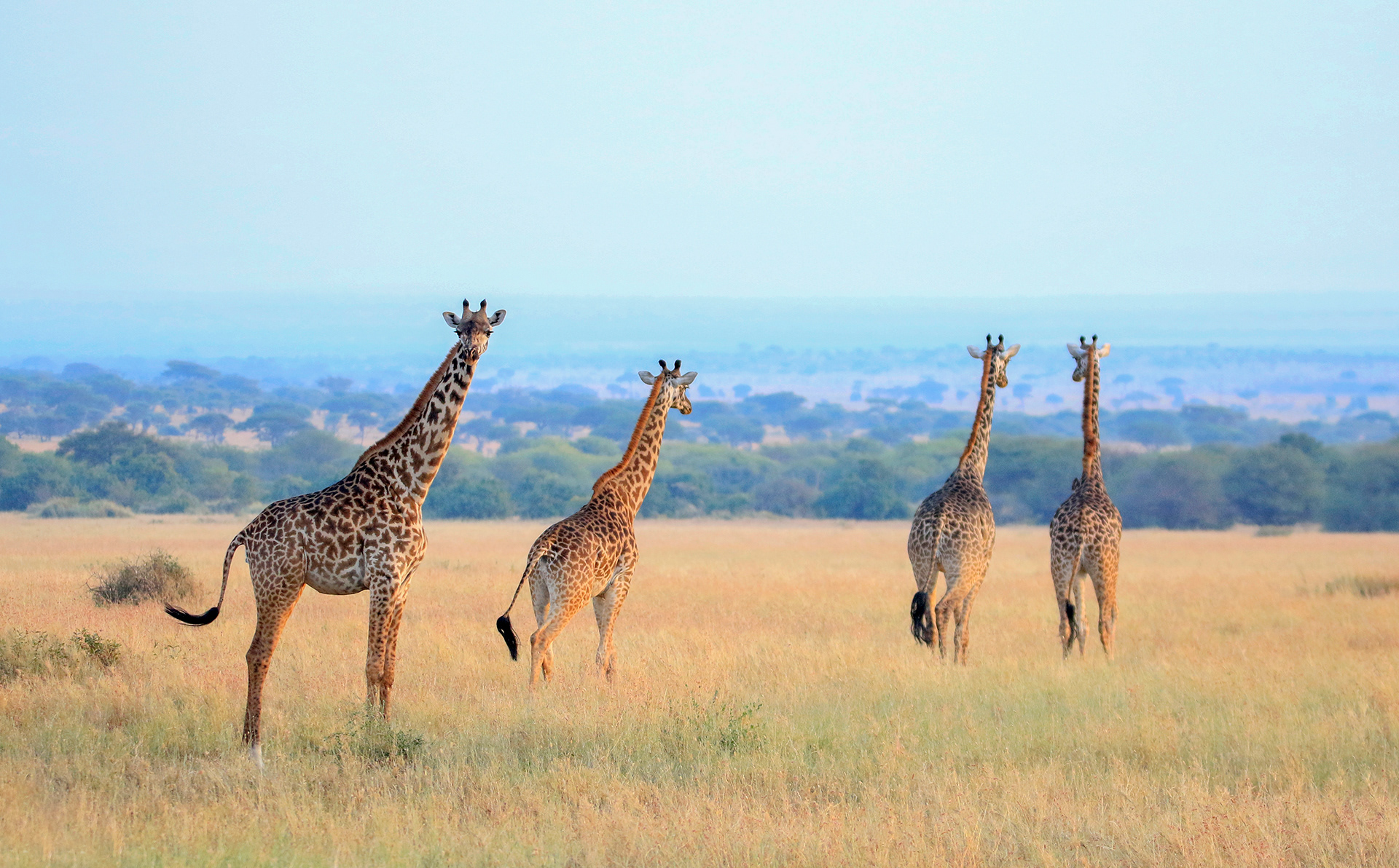 Serenity - ©MomentsbyHeatherNicole