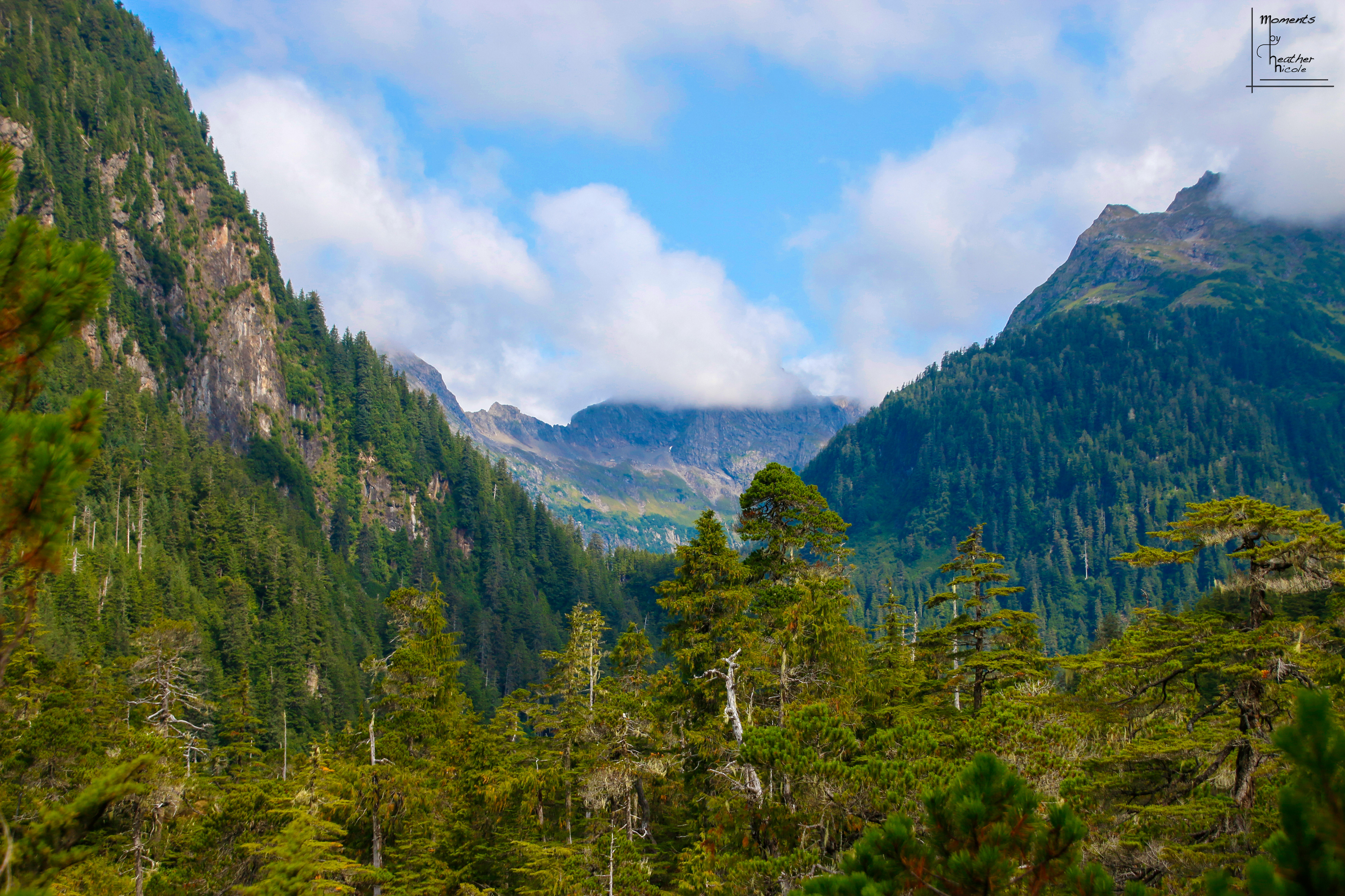 In The Clouds - ©MomentsbyHeatherNicole