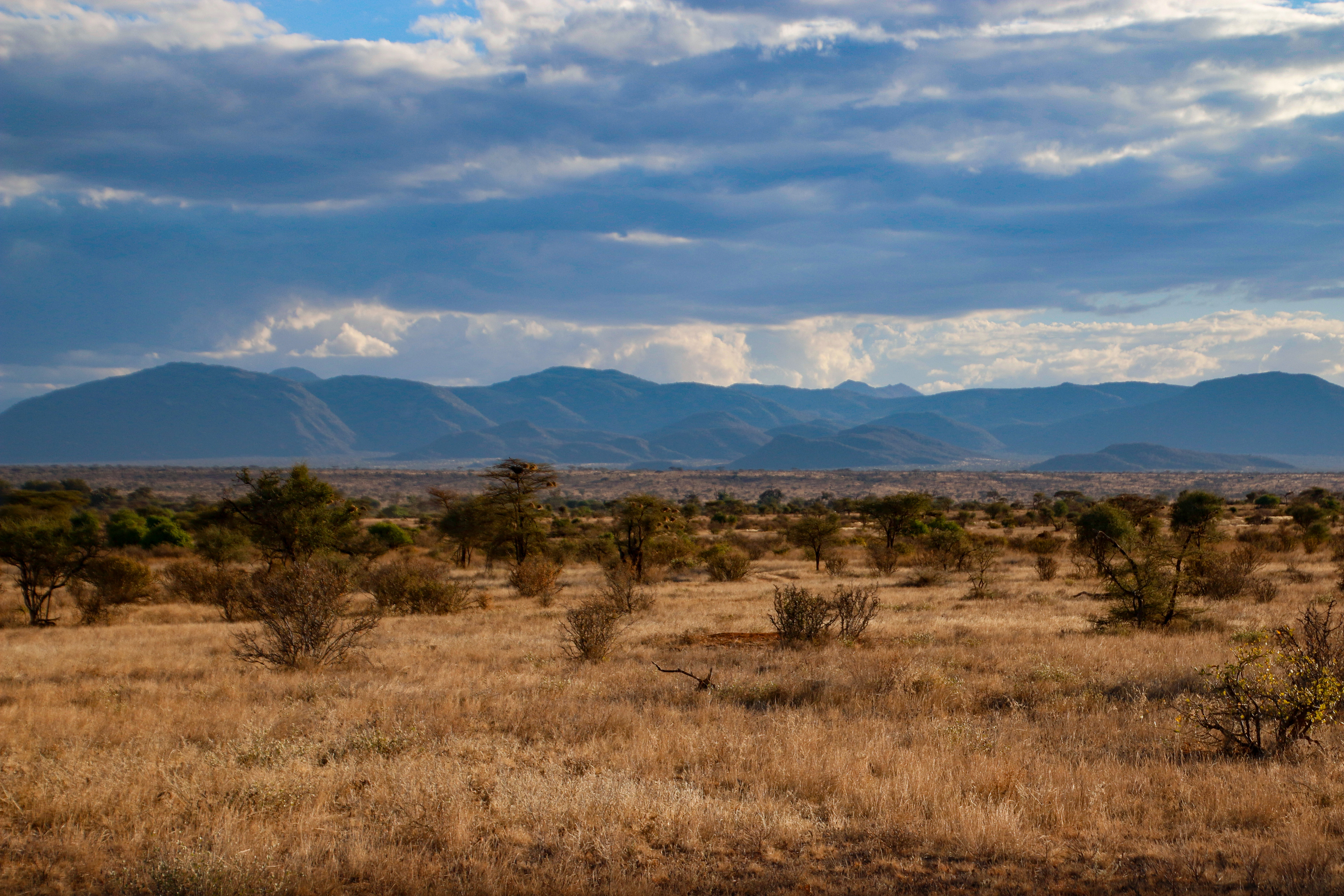 Samburu Landscape ©MomentsbyHeatherNicole