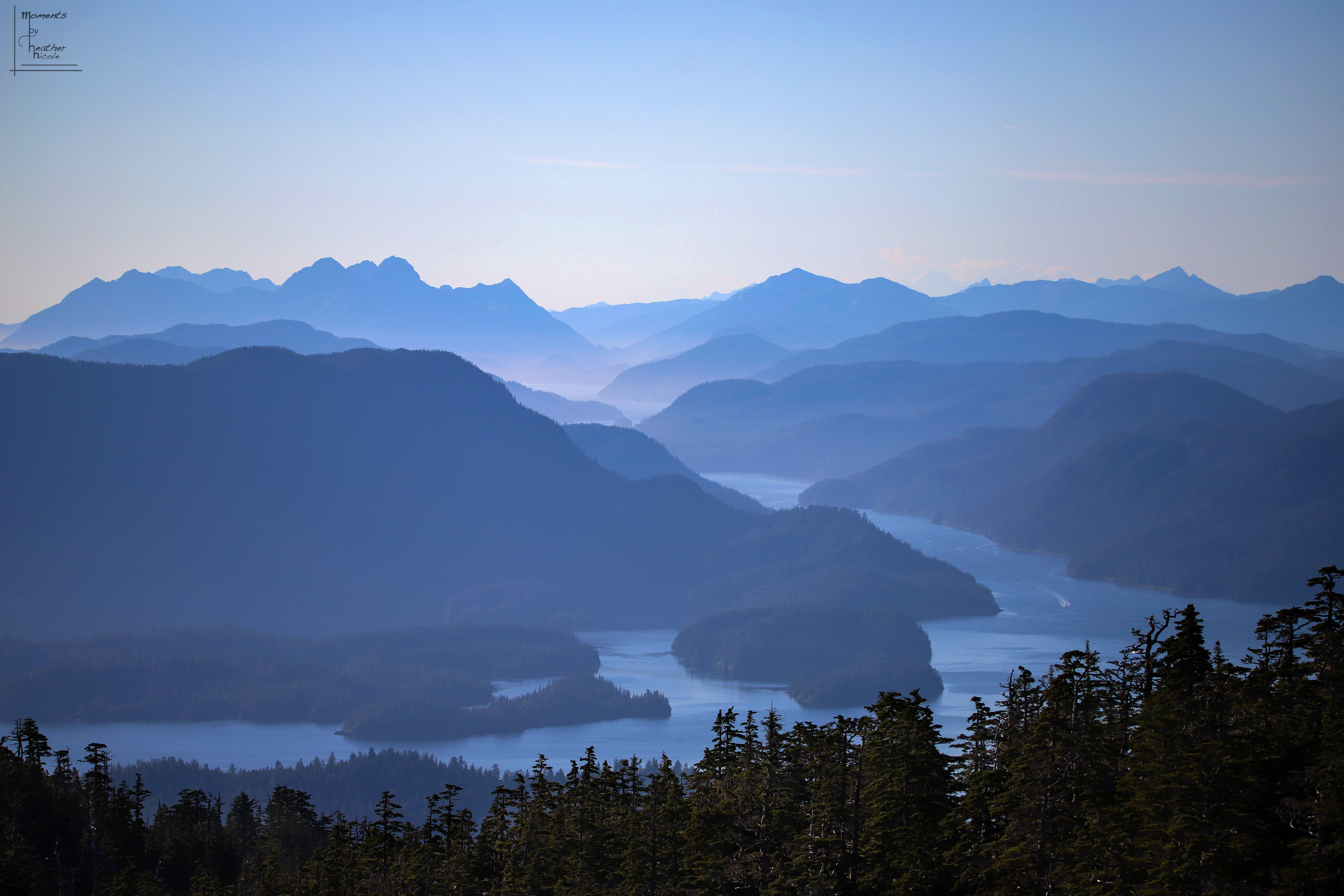 The Sitka Straights - ©MomentsbyHeatherNicole