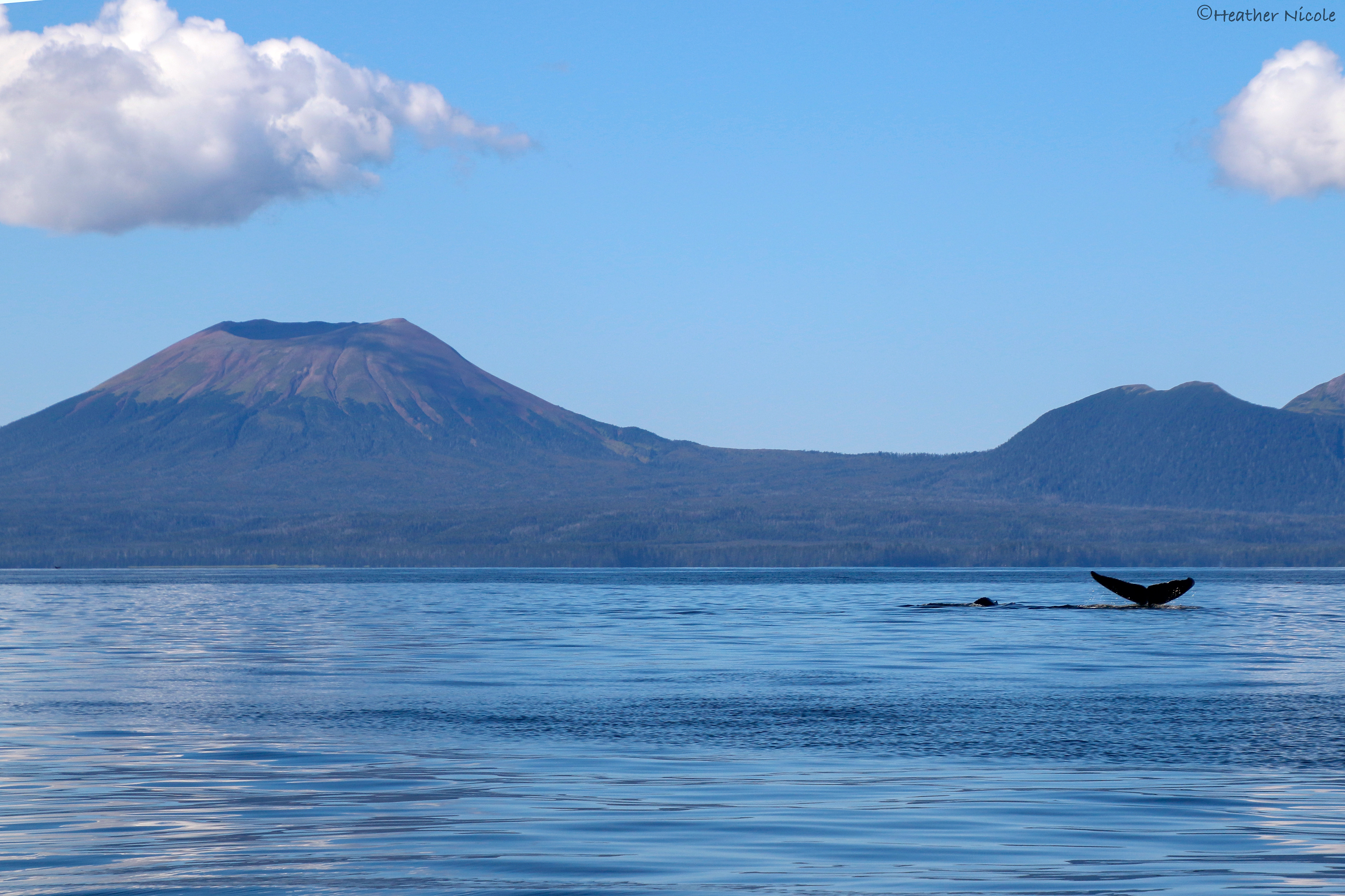 ©MomentsbyHeatherNicole