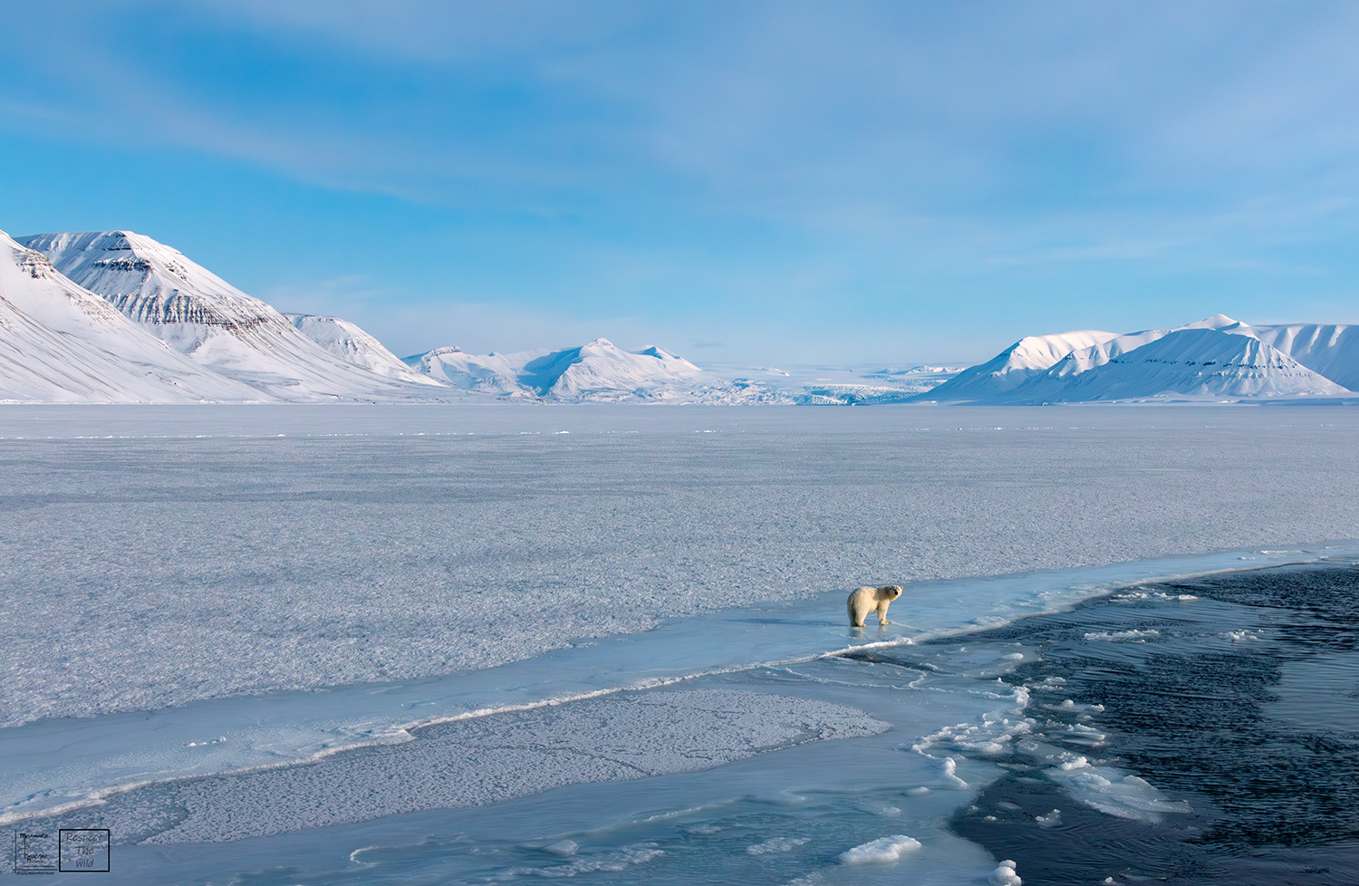 The Look Back - ©MomentsbyHeatherNicole