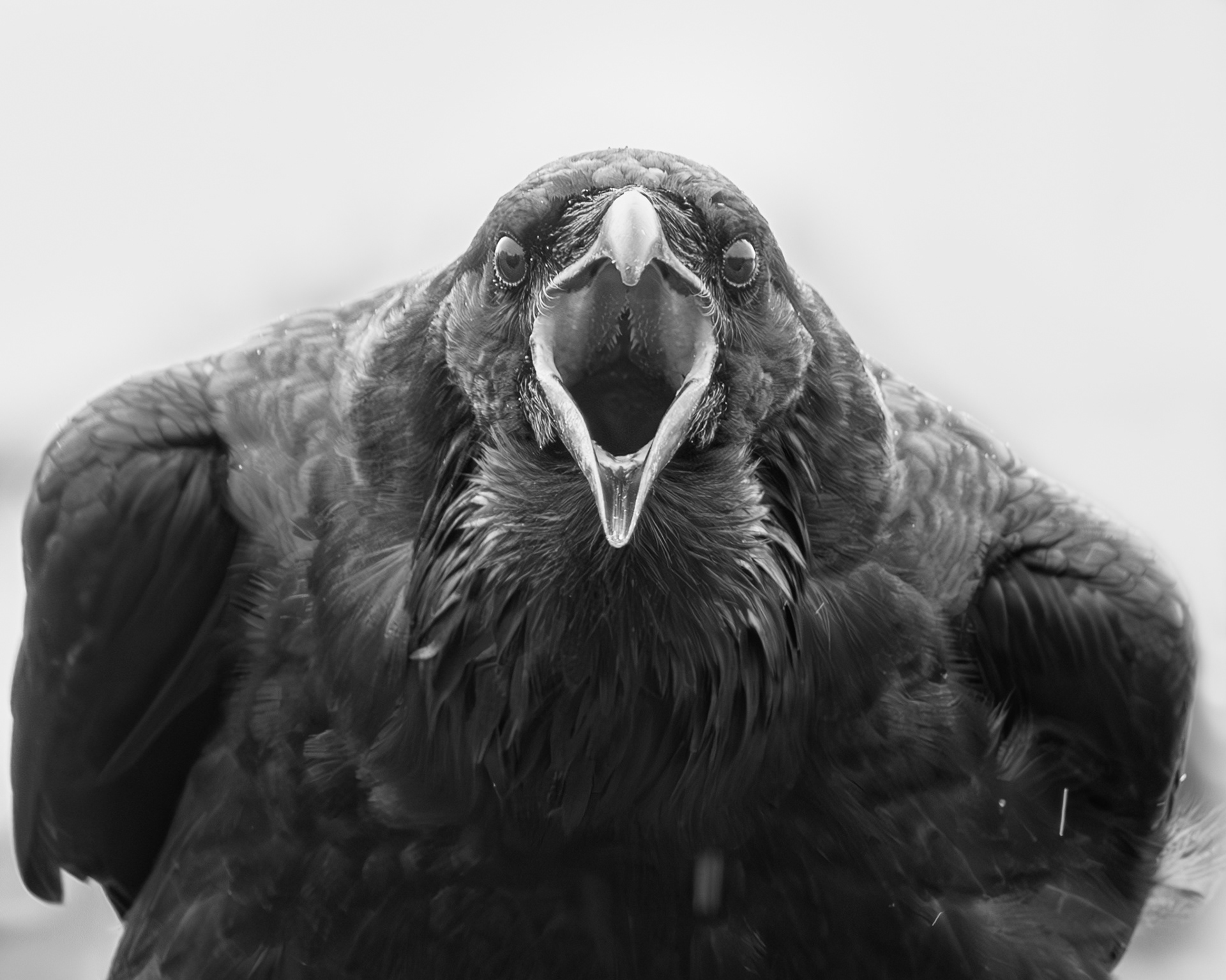 Singing In The Rain - ©MomentsbyHeatherNicole