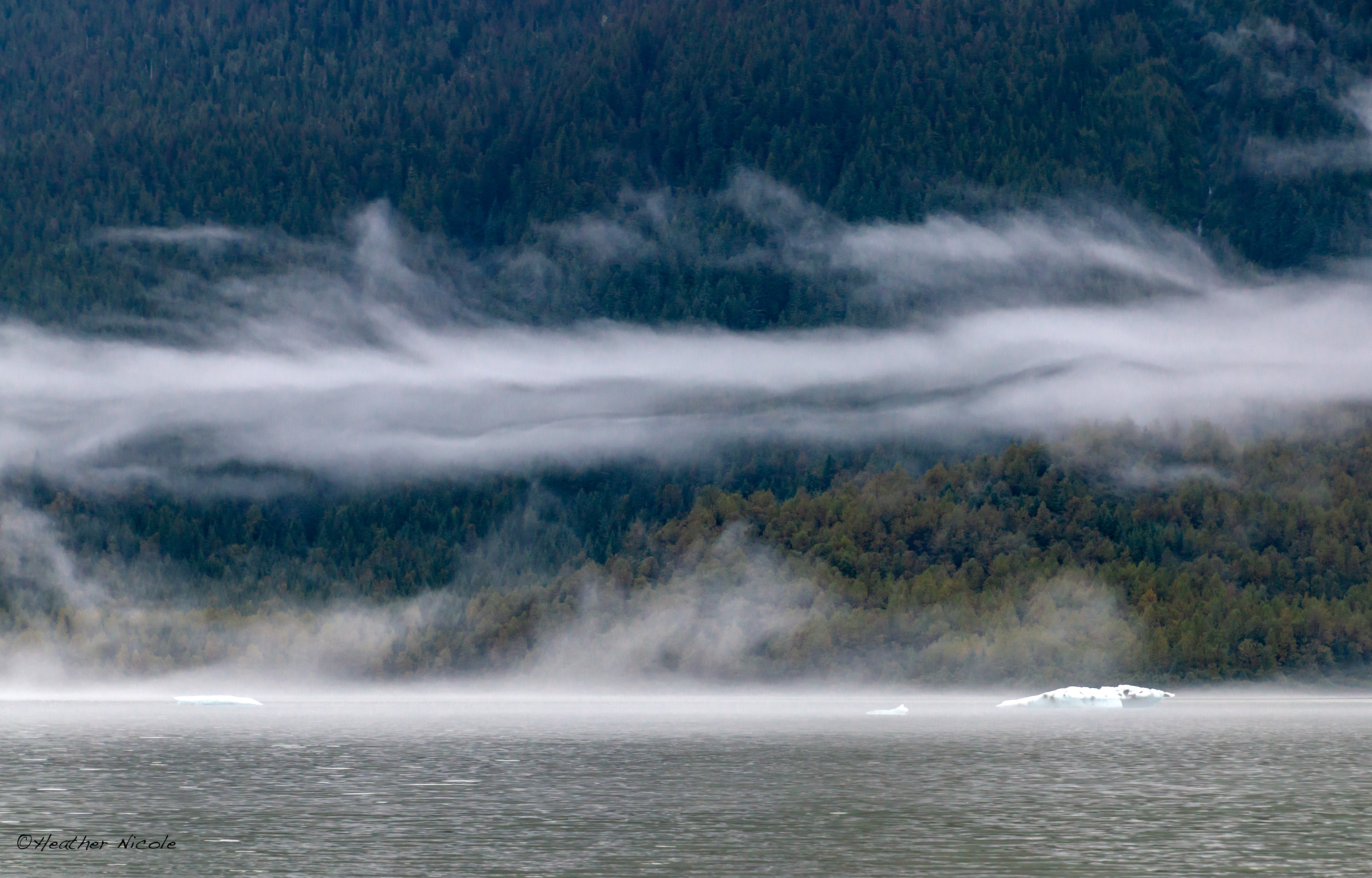 Juneau Mist - ©MomentsbyHeatherNicole