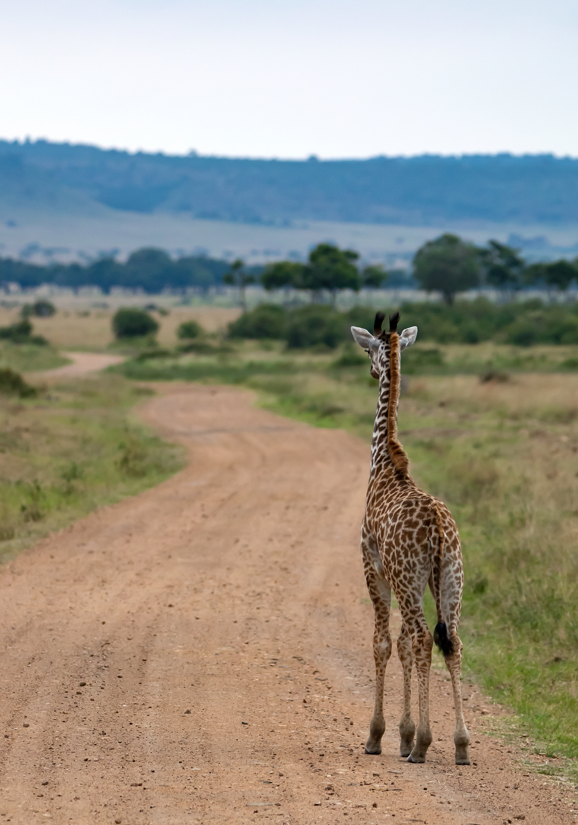 Adventure Awaits - ©MomentsbyHeatherNicole