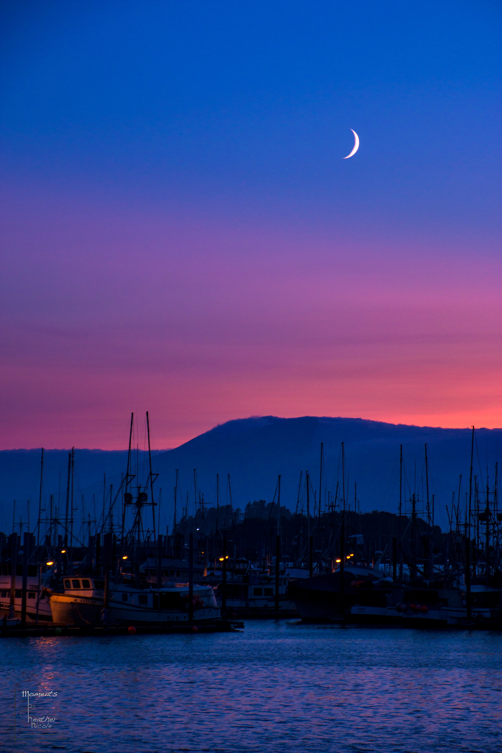 Moon Rise - ©MomentsbyHeatherNicole