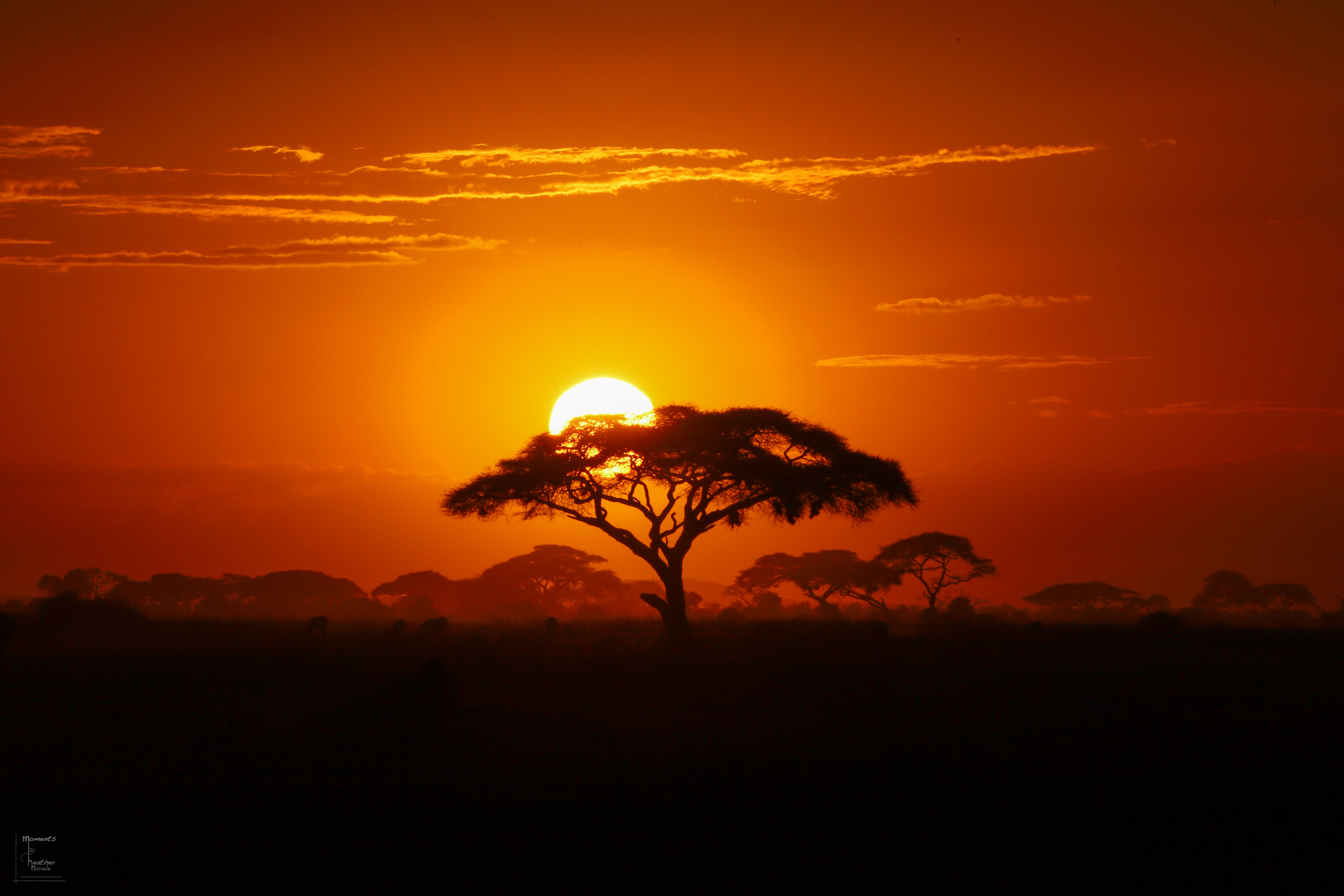 Africa Awaits