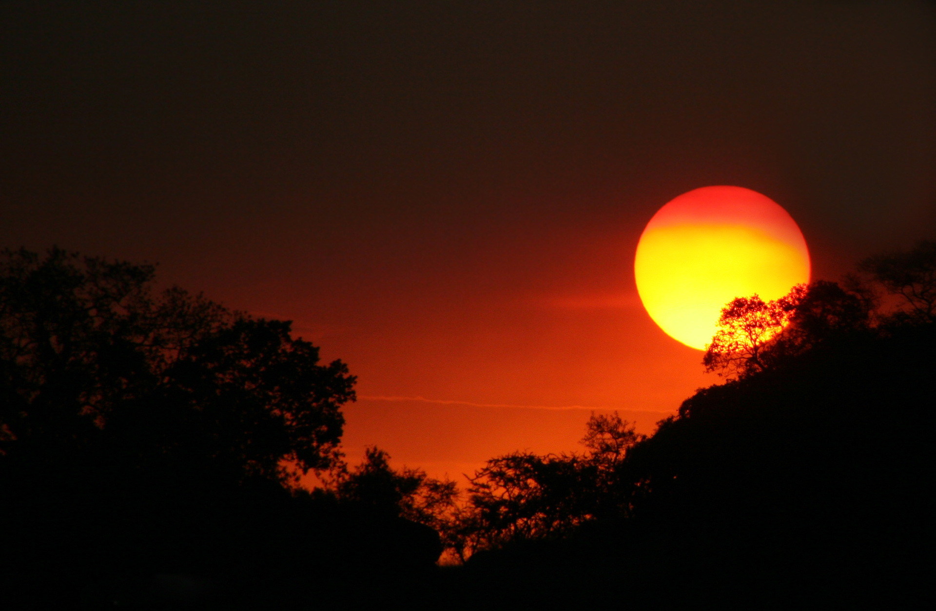 Serengeti Sunset