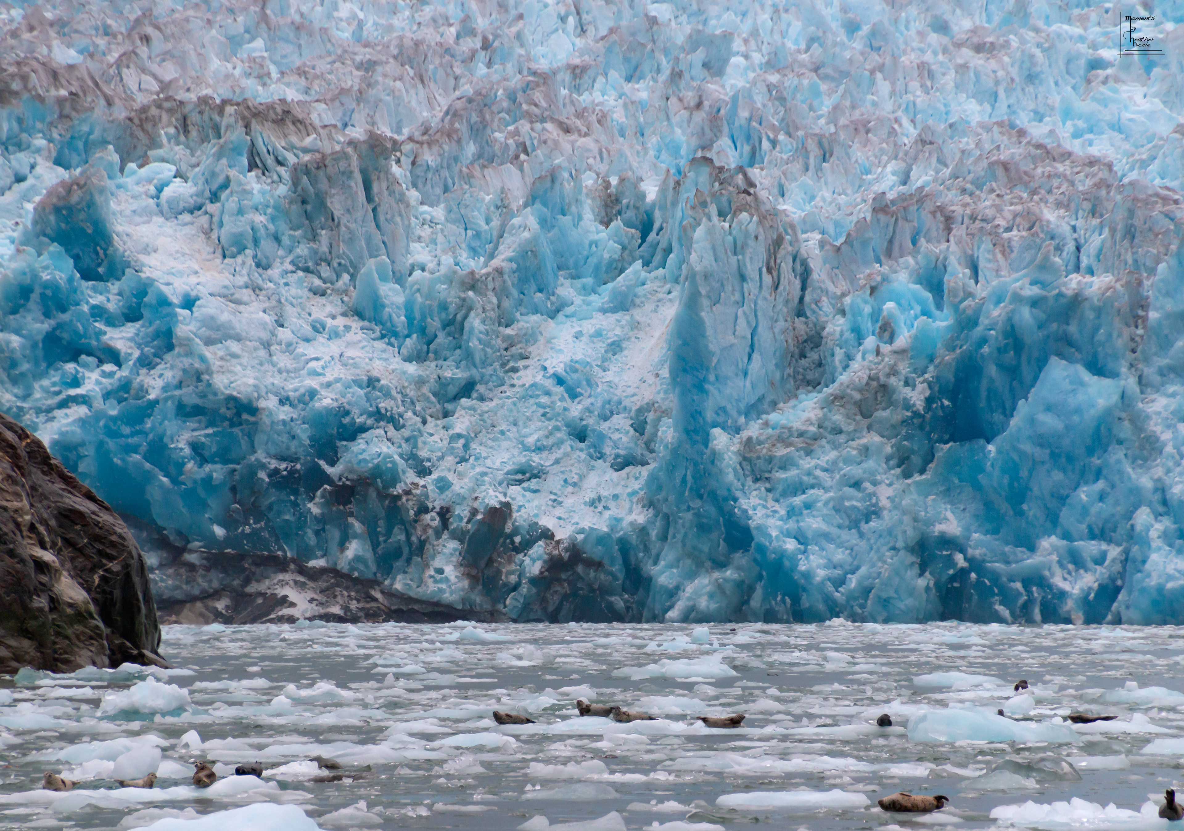 Sawyer Glacier Calving - ©MomentsbyHeatherNicole