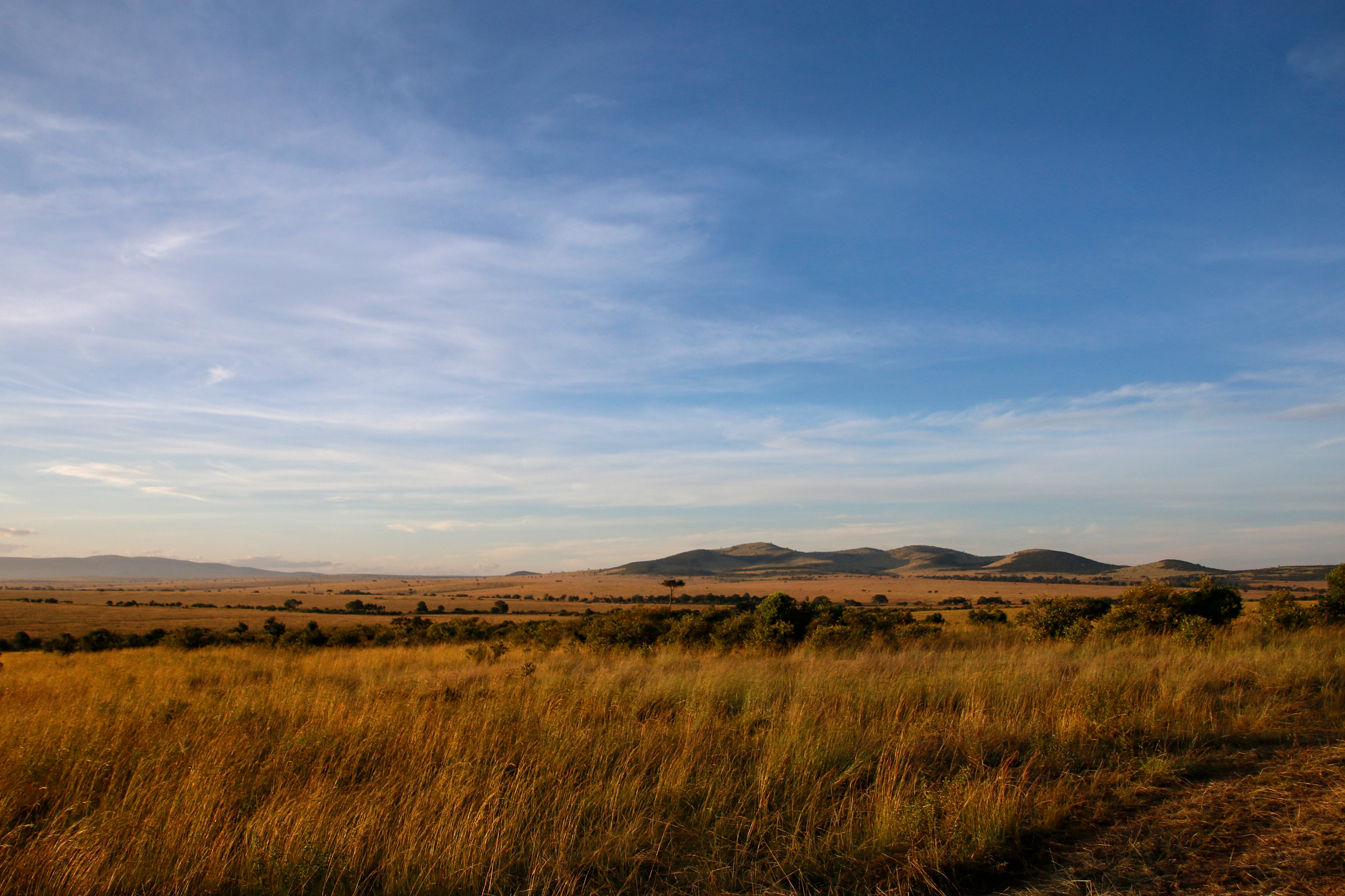 Mara Landscape ©MomentsbyHeatherNicole