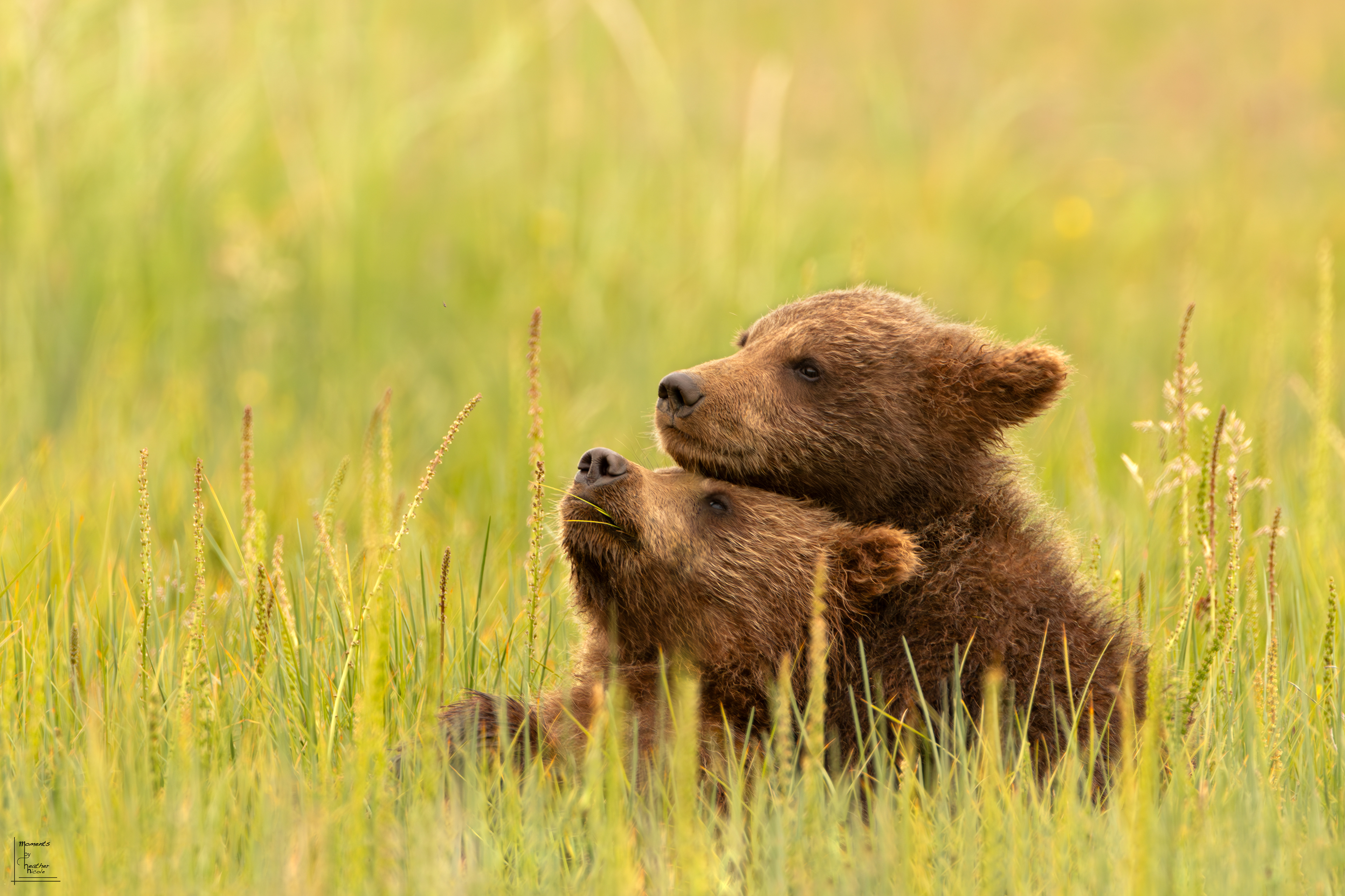 Best Friends  - ©MomentsbyHeatherNicole
