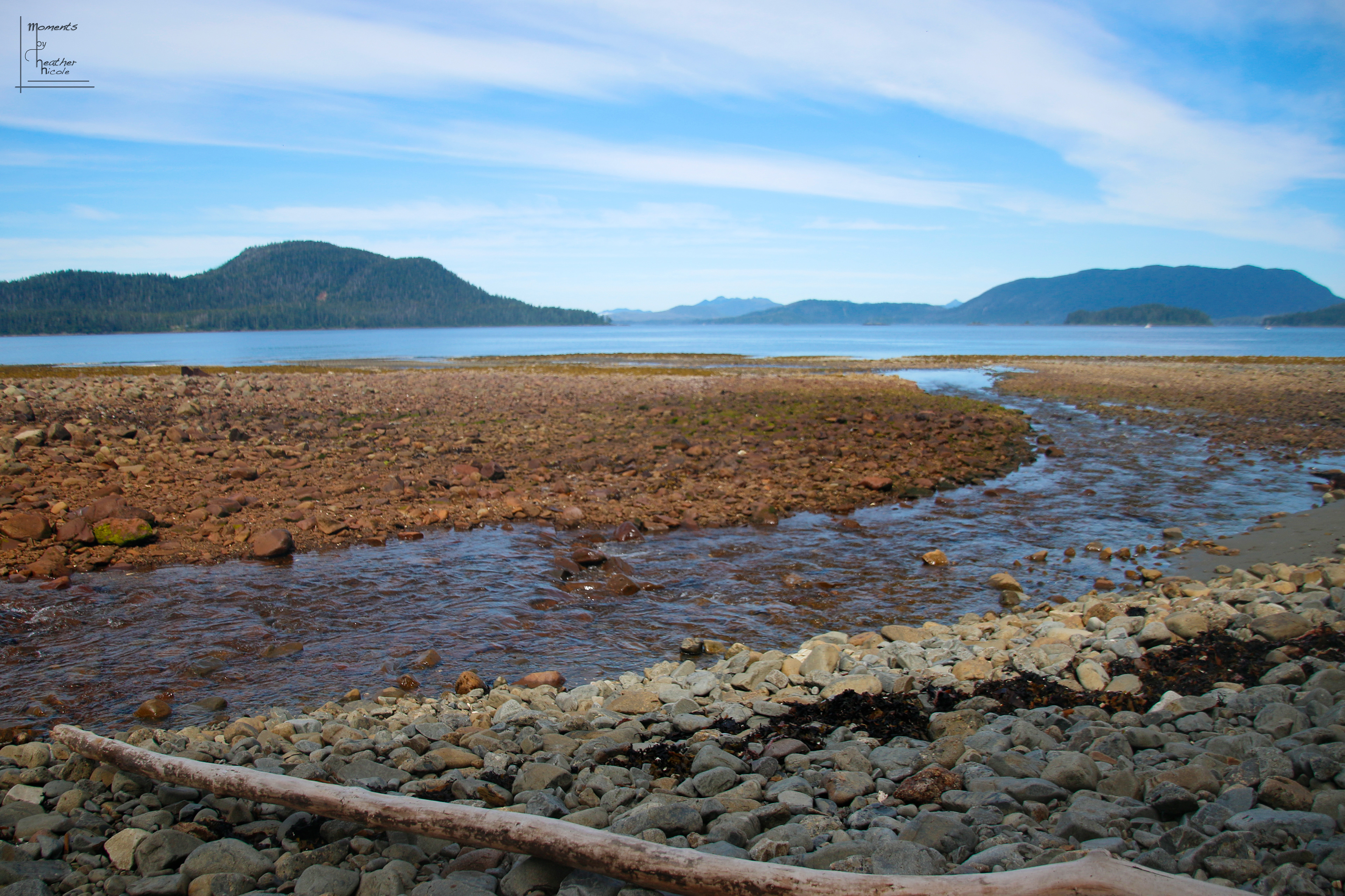 Low Tide ©MomentsbyHeatherNicole