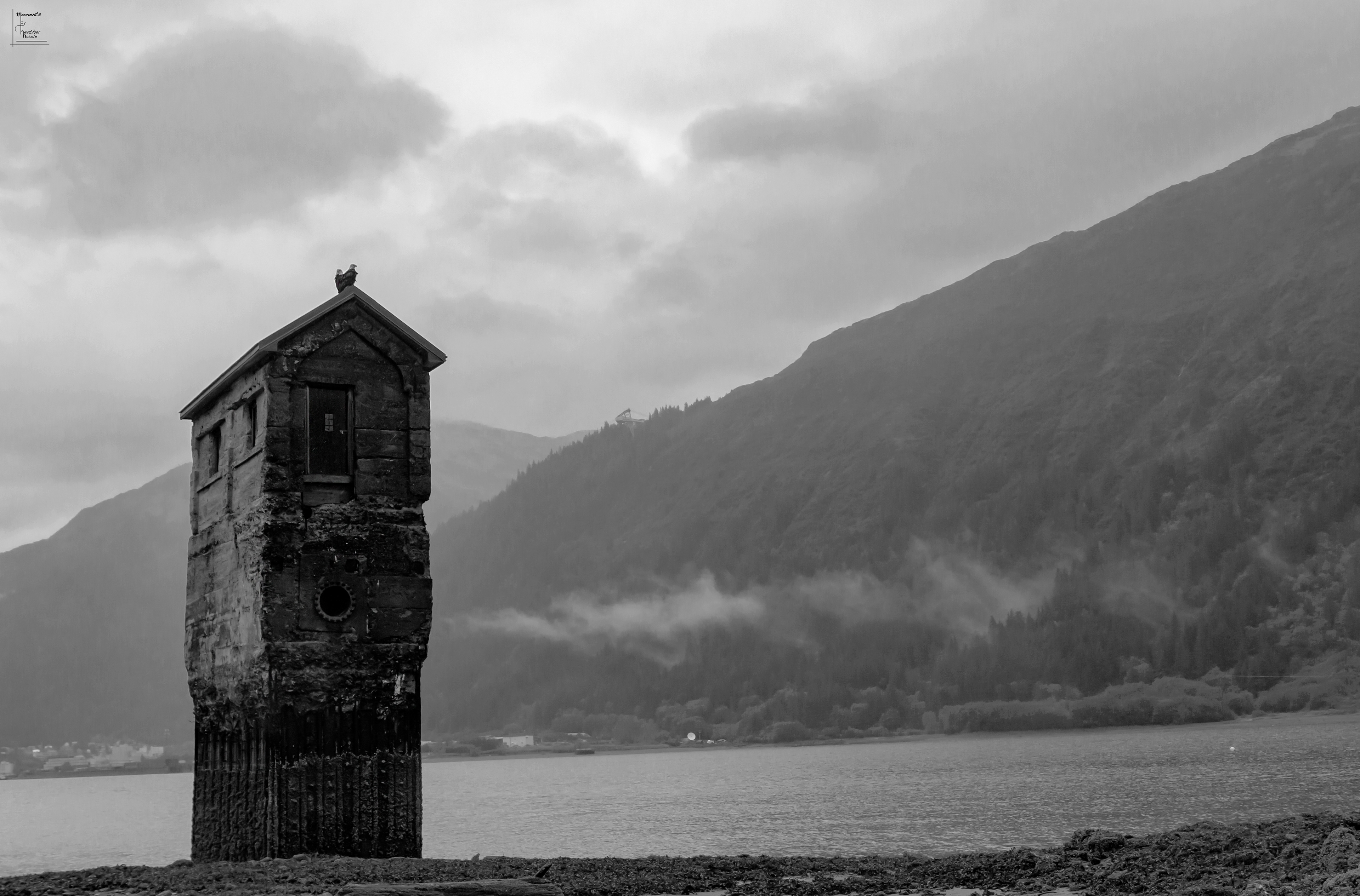 Pump House Guards