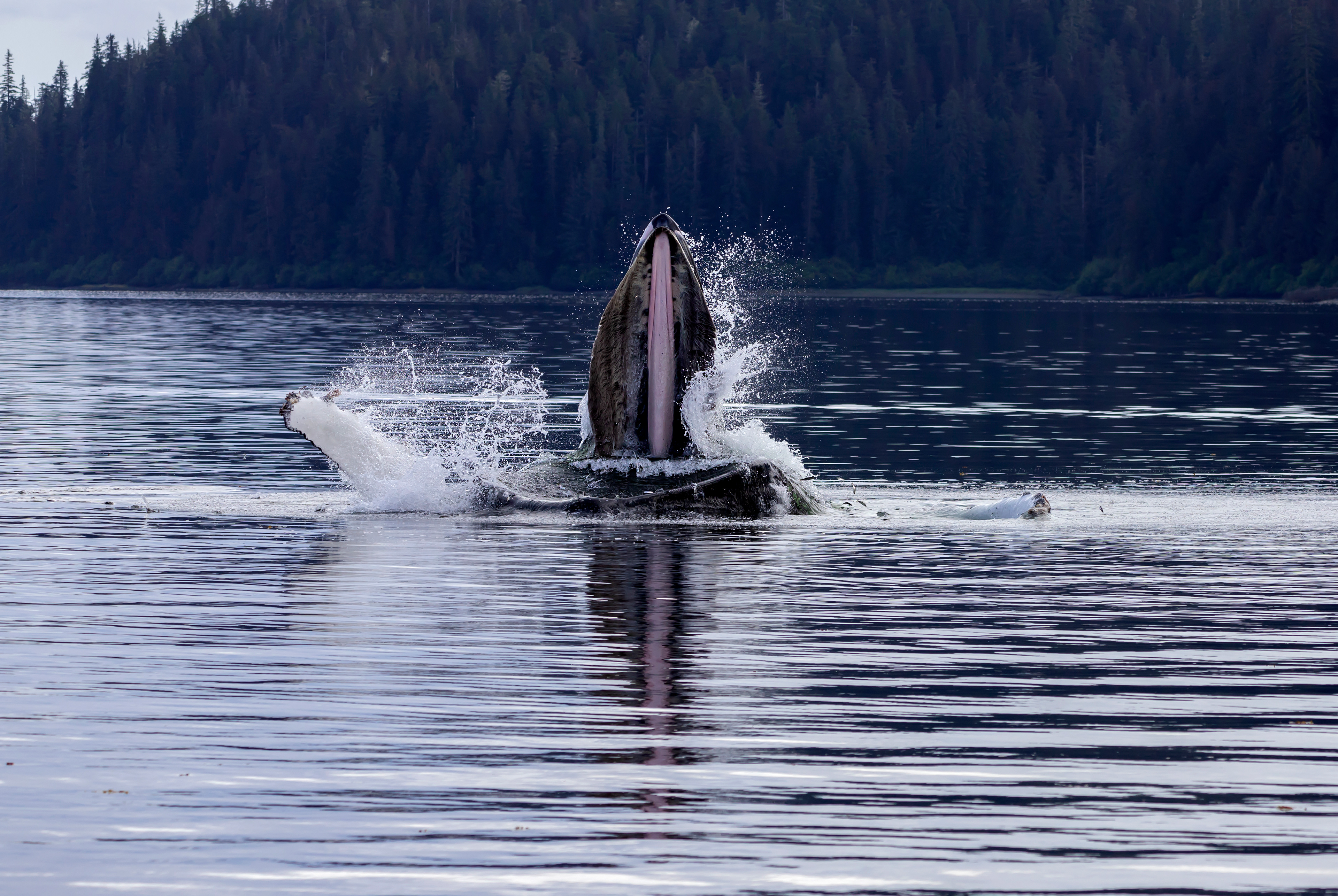 ©MomentsbyHeatherNicole