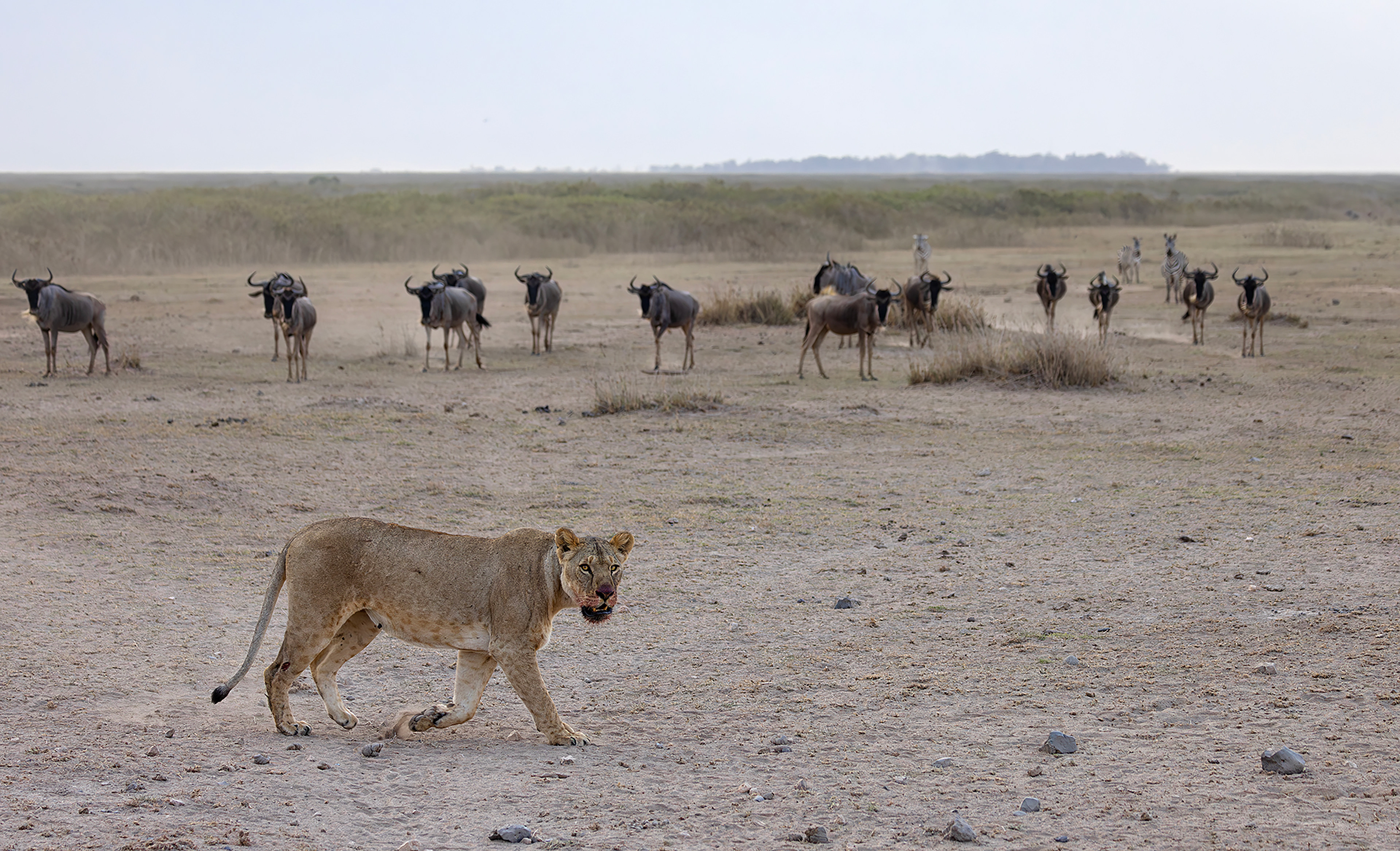 All Eyes On You - ©MomentsbyHeatherNicole