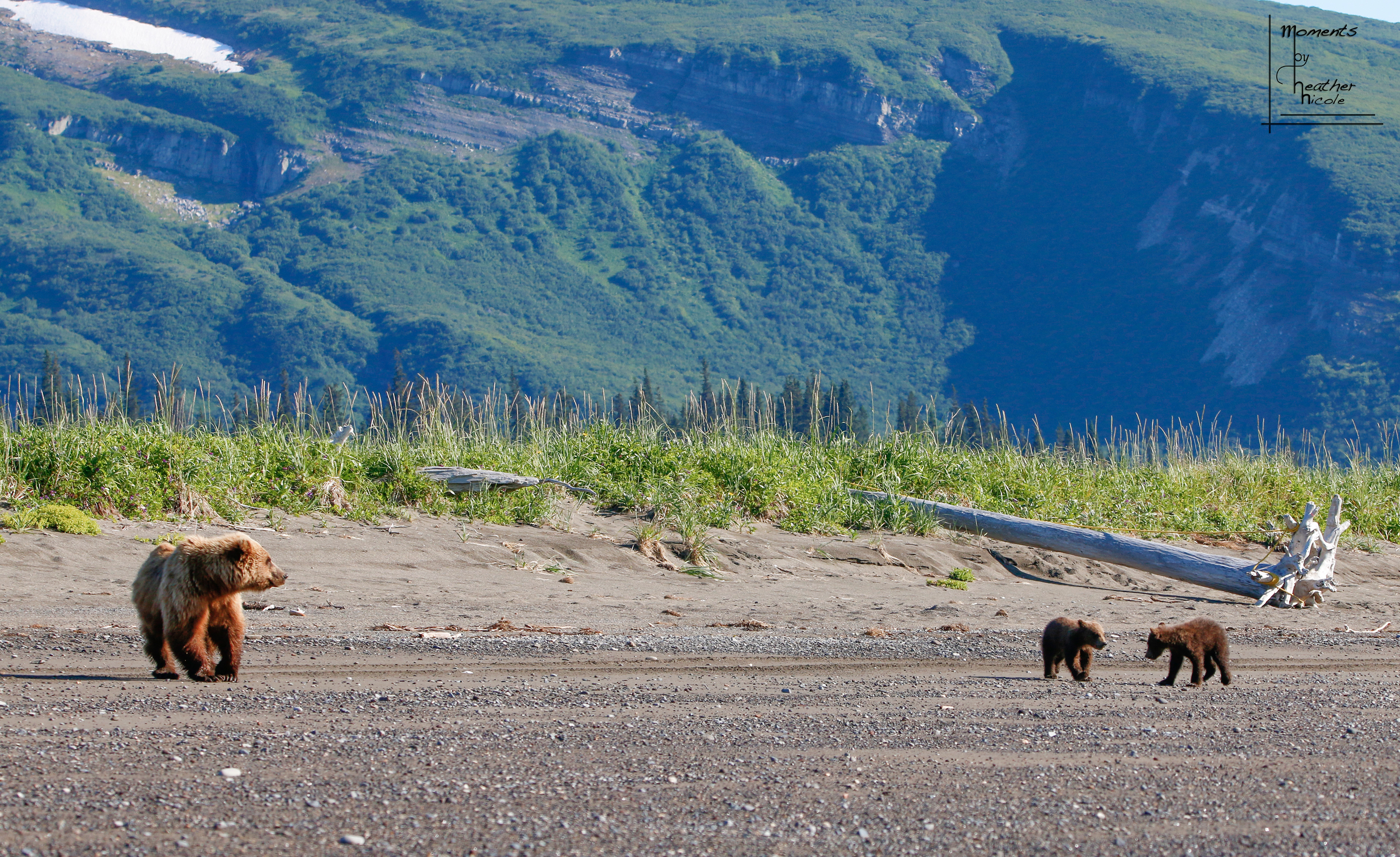 Come On Kids  - ©MomentsbyHeatherNicole