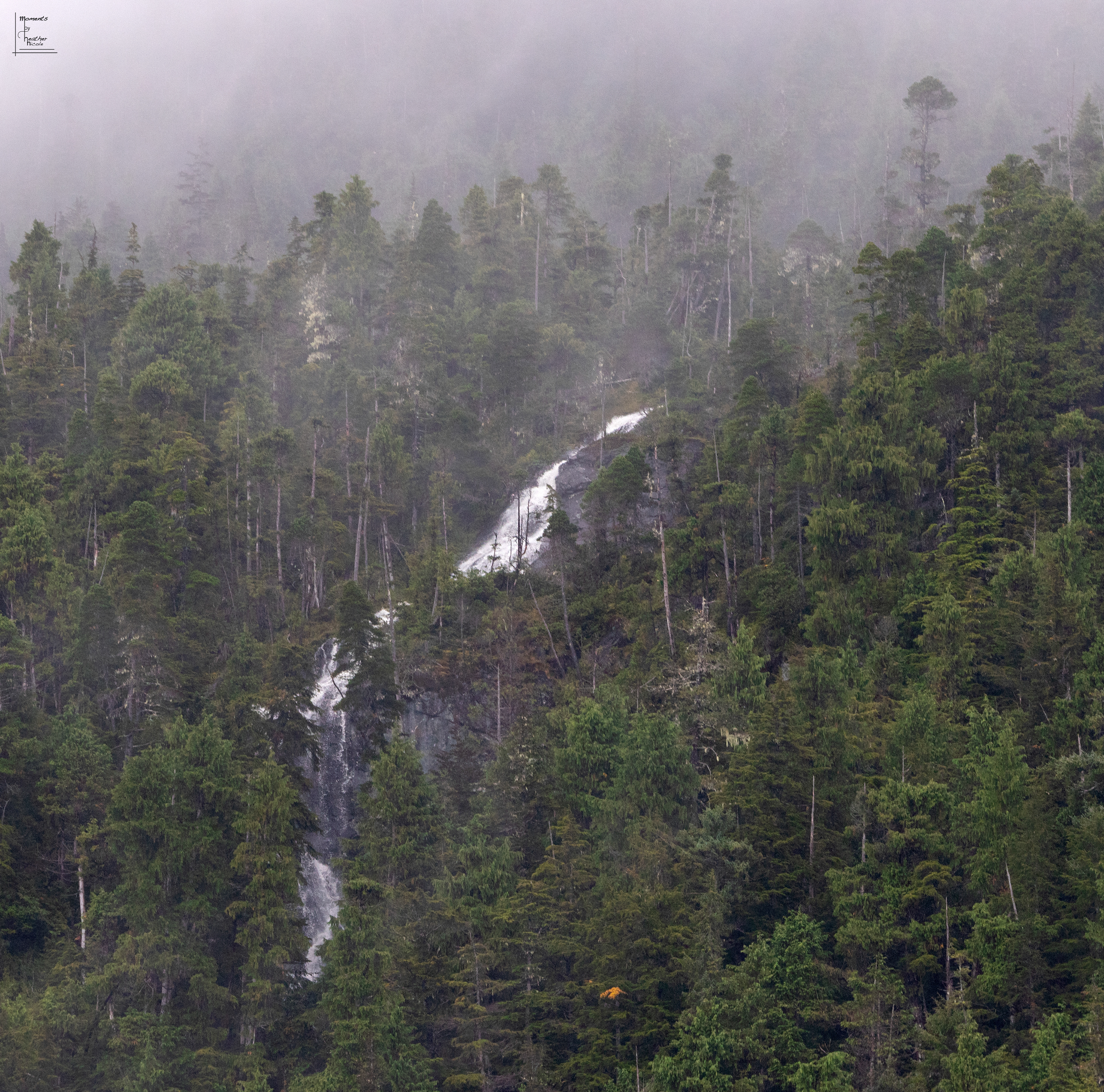 Waterfalls in the Forest - ©MomentsbyHeatherNicole
