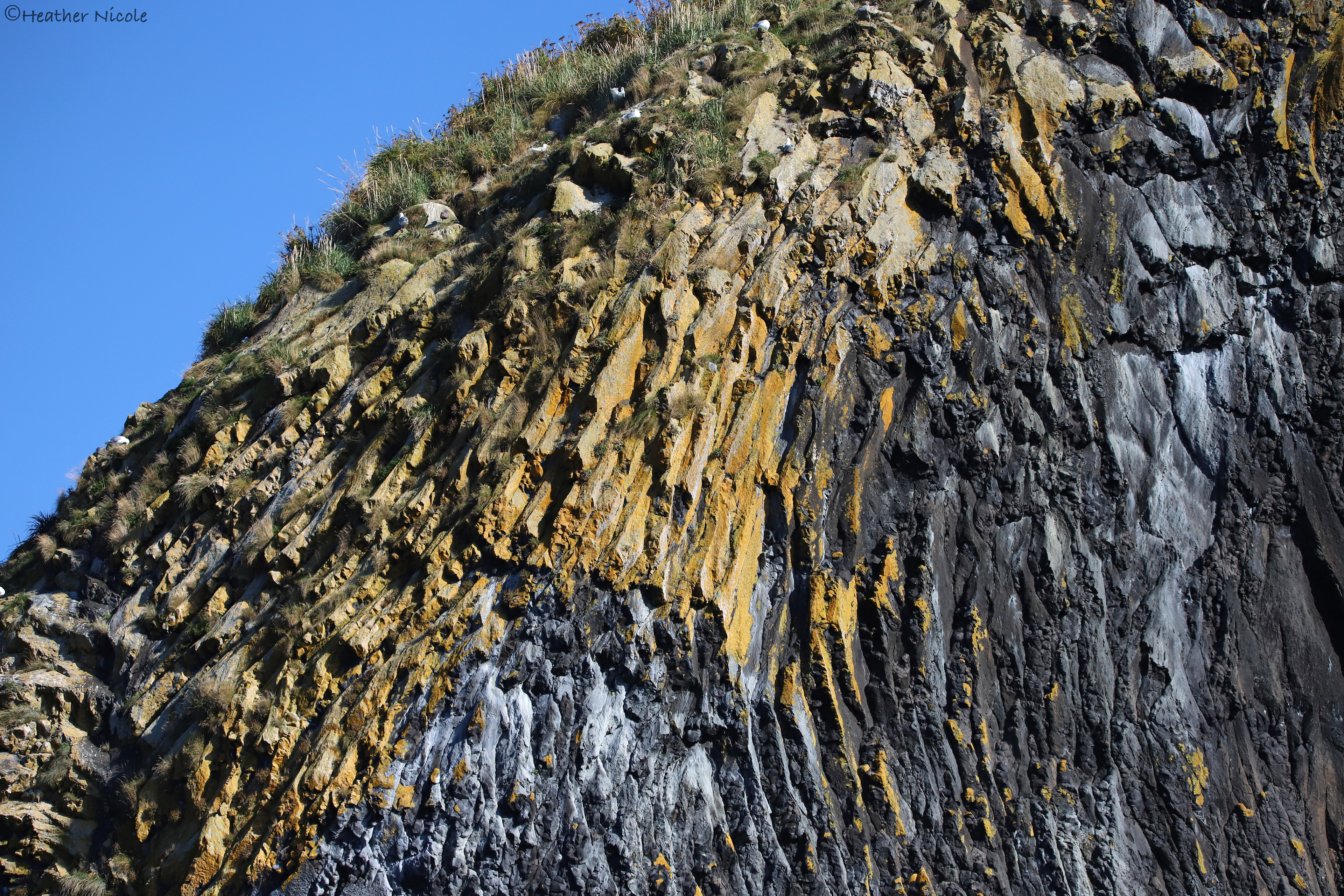 Lava Rocks - ©MomentsbyHeatherNicole