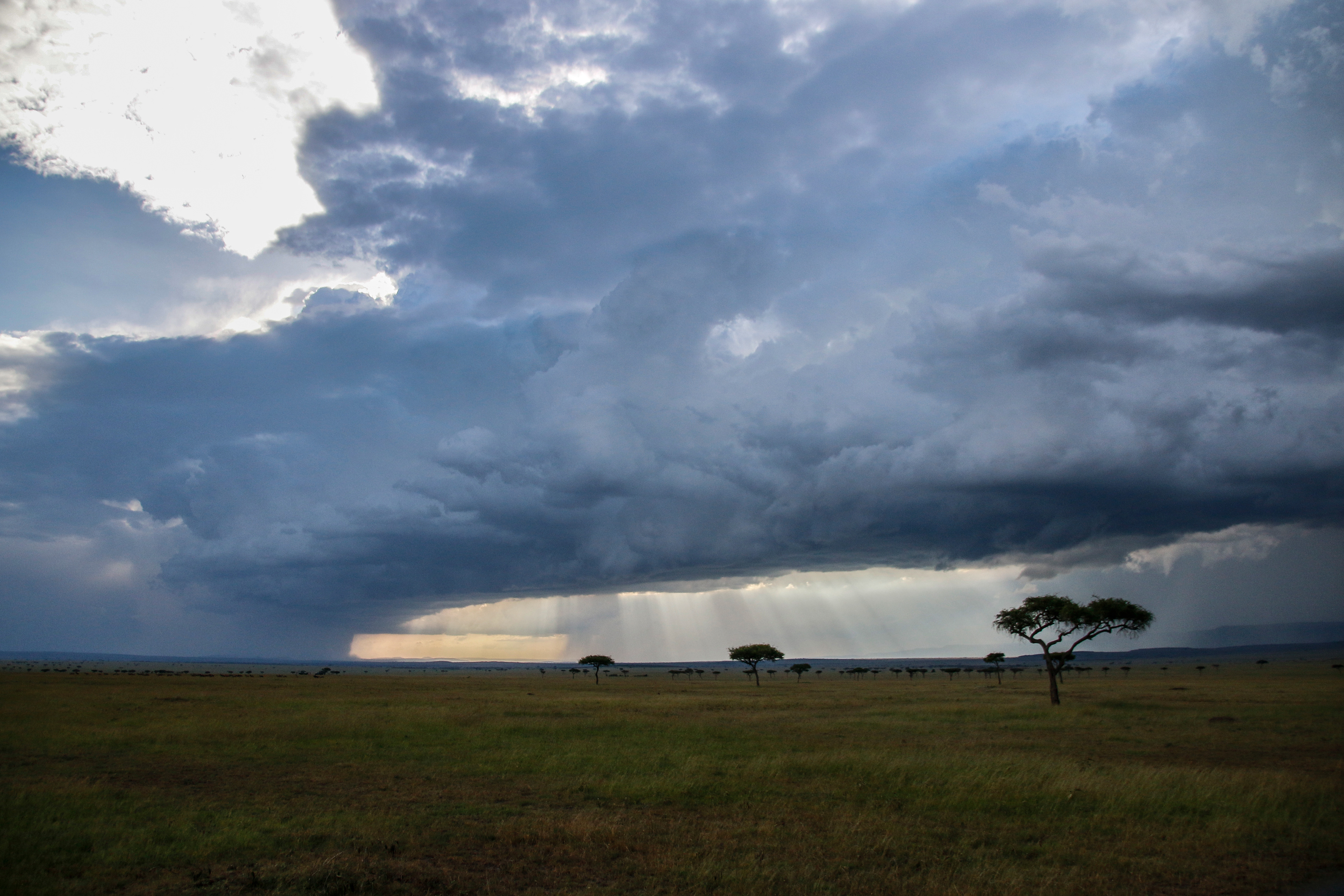 Masai Mara Cloudscape ©MomentsbyHeatherNicole