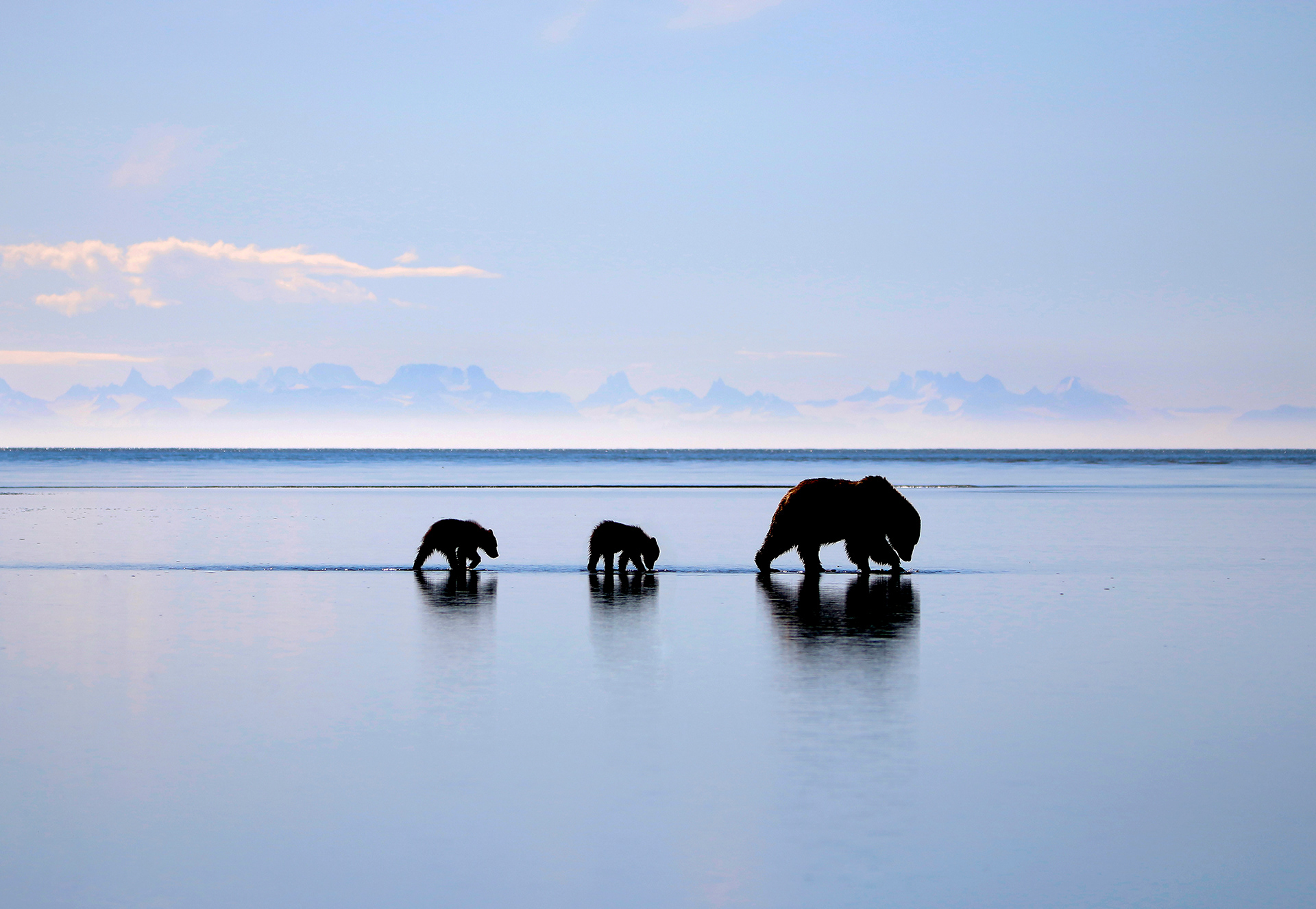 Morning Mirror - ©MomentsbyHeatherNicole