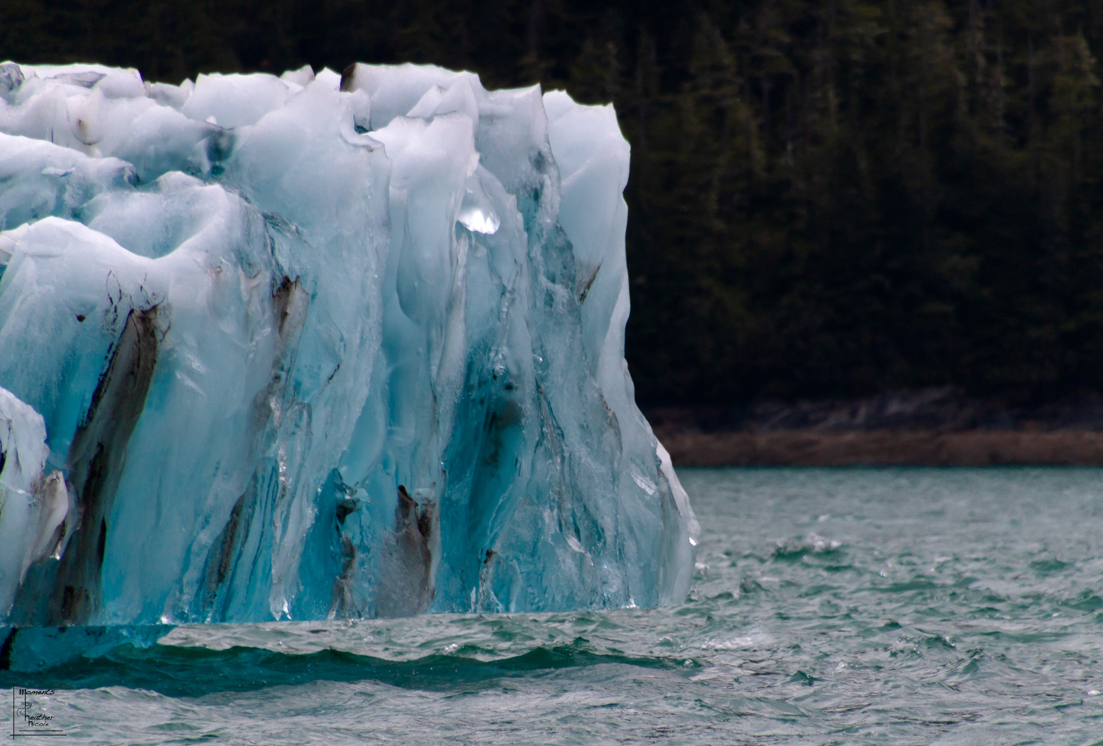 Iceberg Colors - ©MomentsbyHeatherNicole