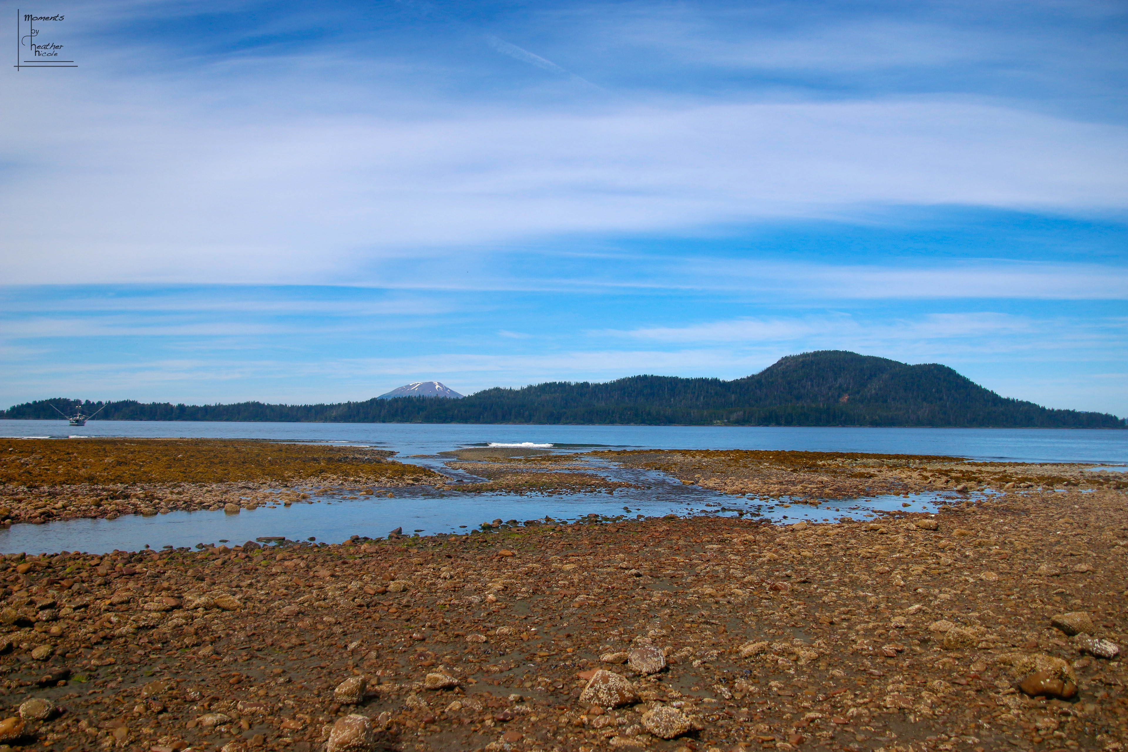 Low Tide ©MomentsbyHeatherNicole