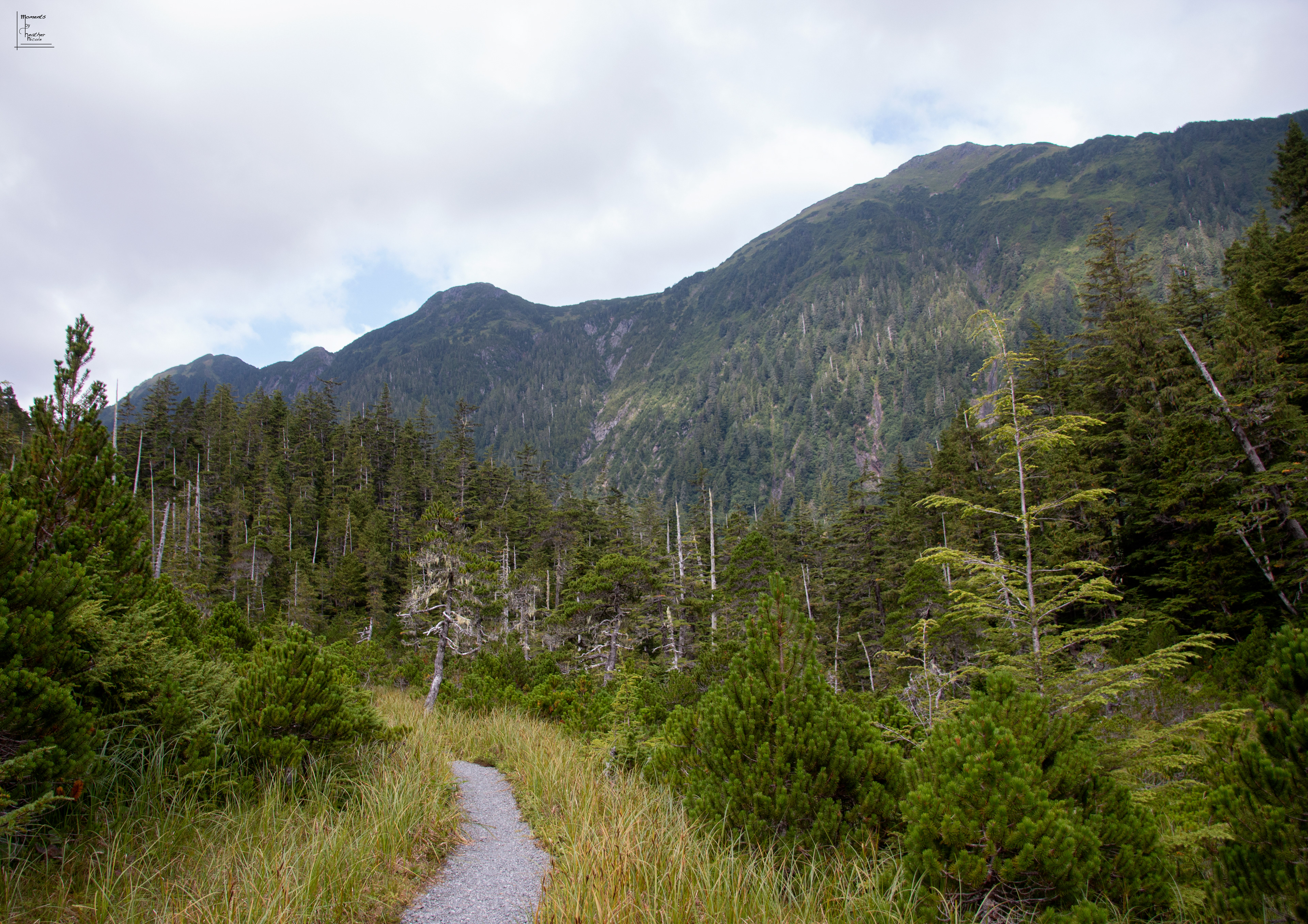 Beaver Lake Trails - ©MomentsbyHeatherNicole