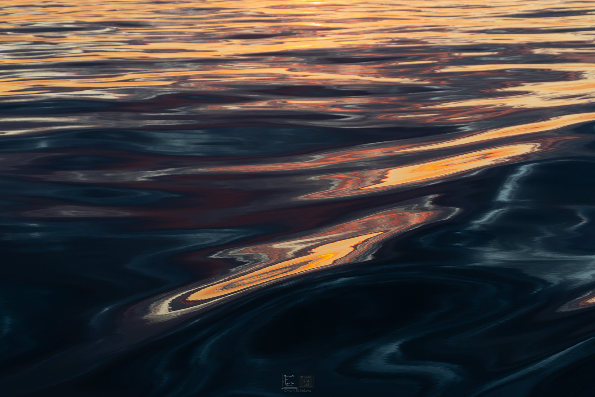 Colors in the Water