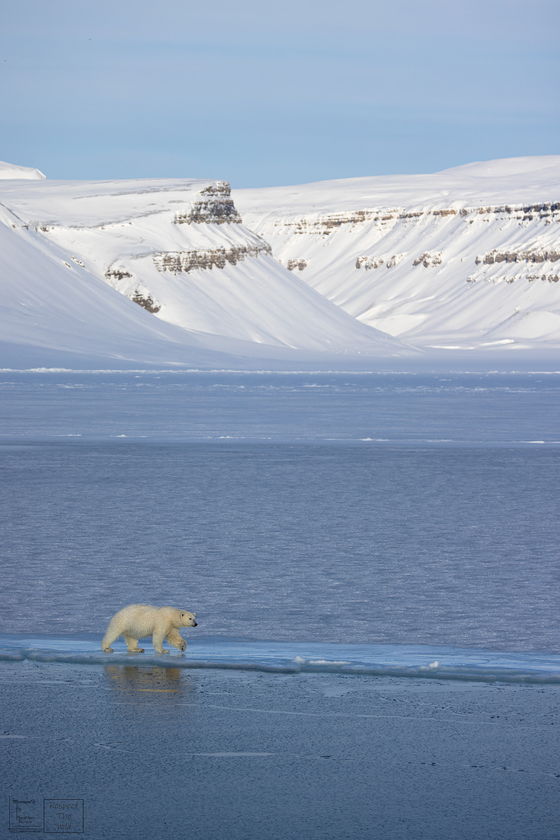The Ice Walker  - ©MomentsbyHeatherNicole