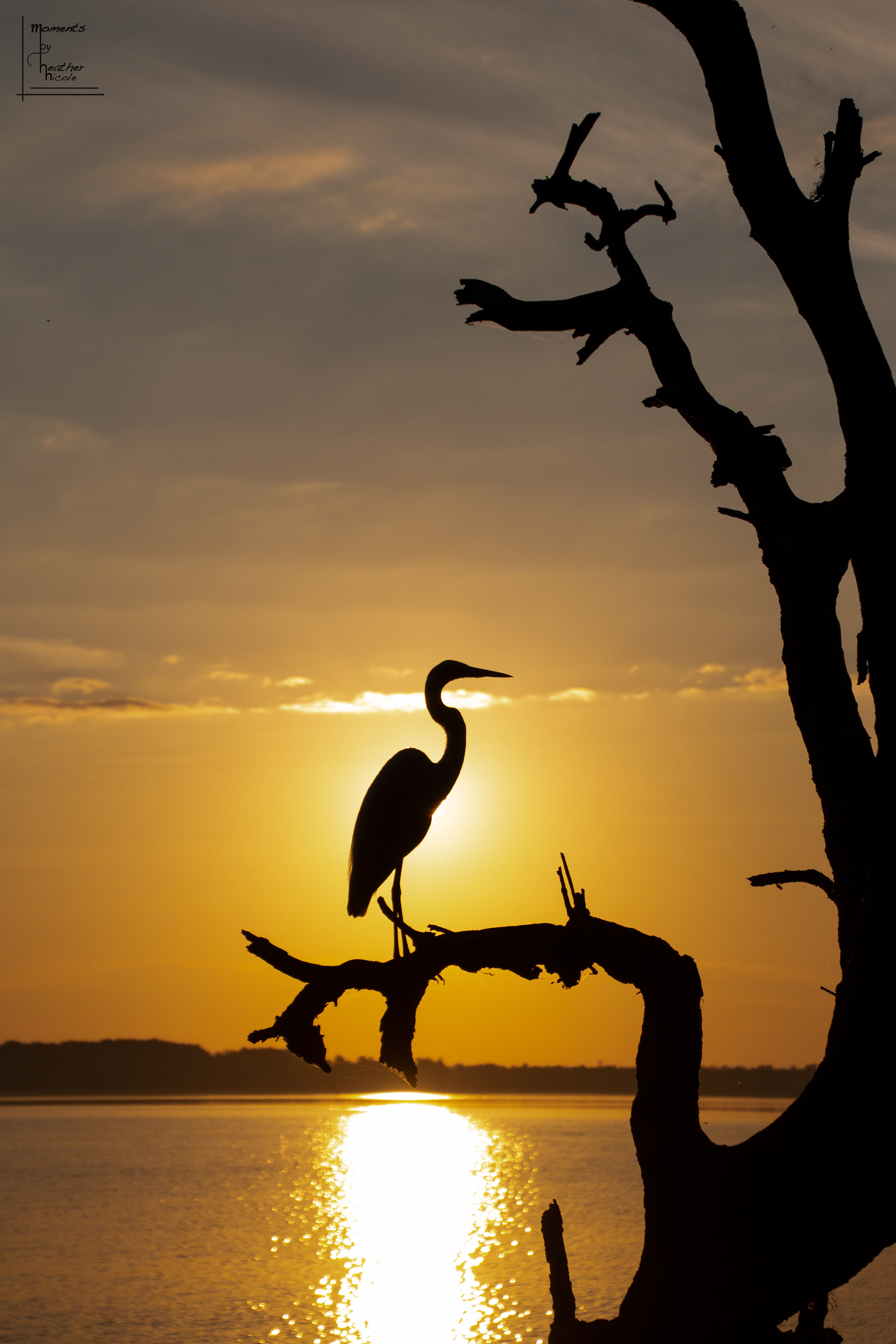 Sunrise Silhouette